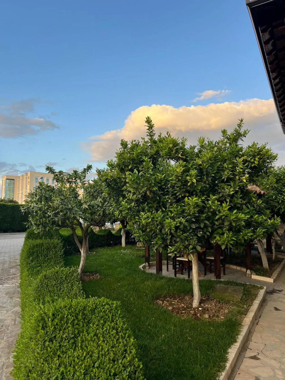 Garden in Hotel Kaceli