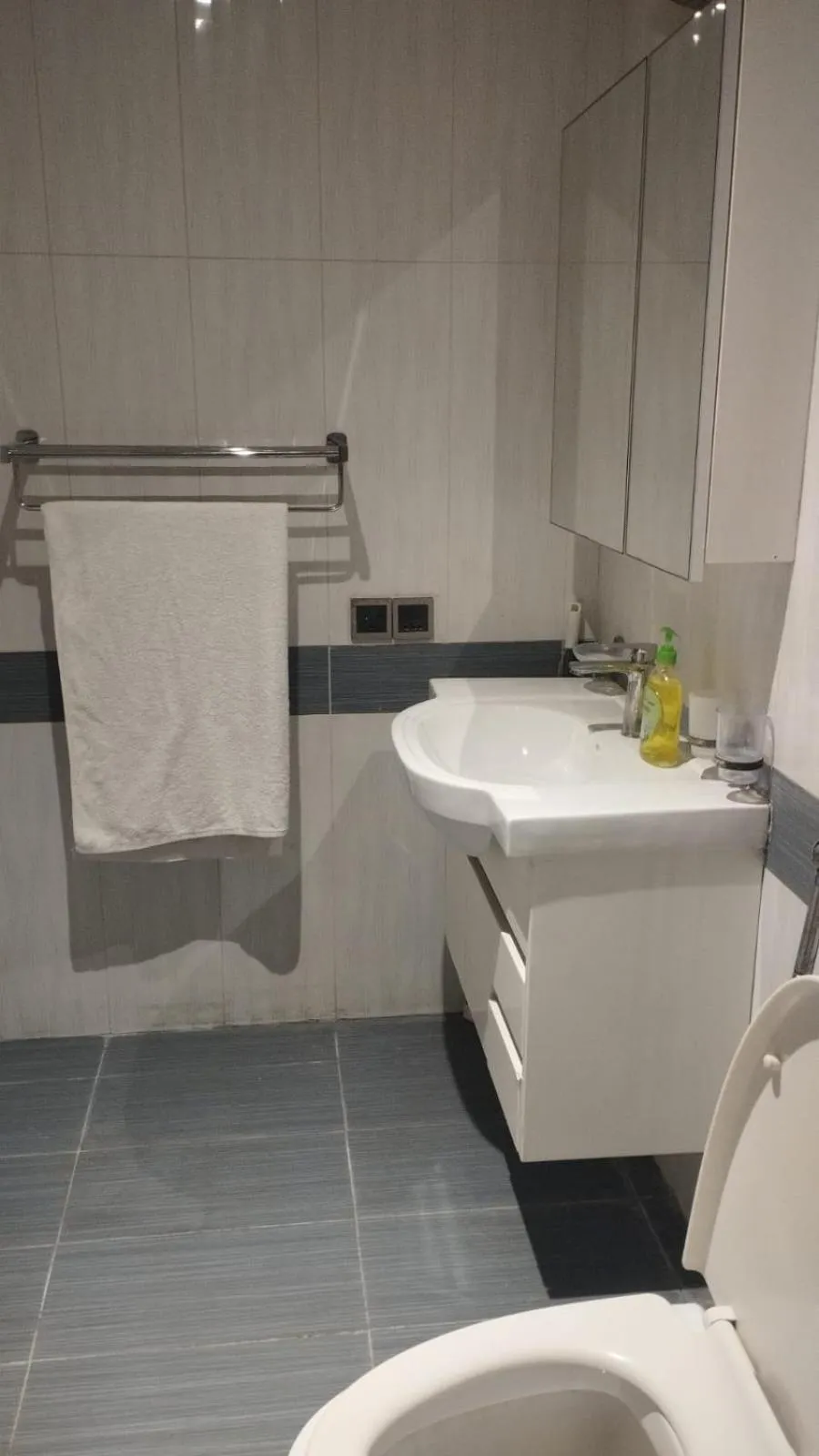 Toilet in The Centaurus Apartments