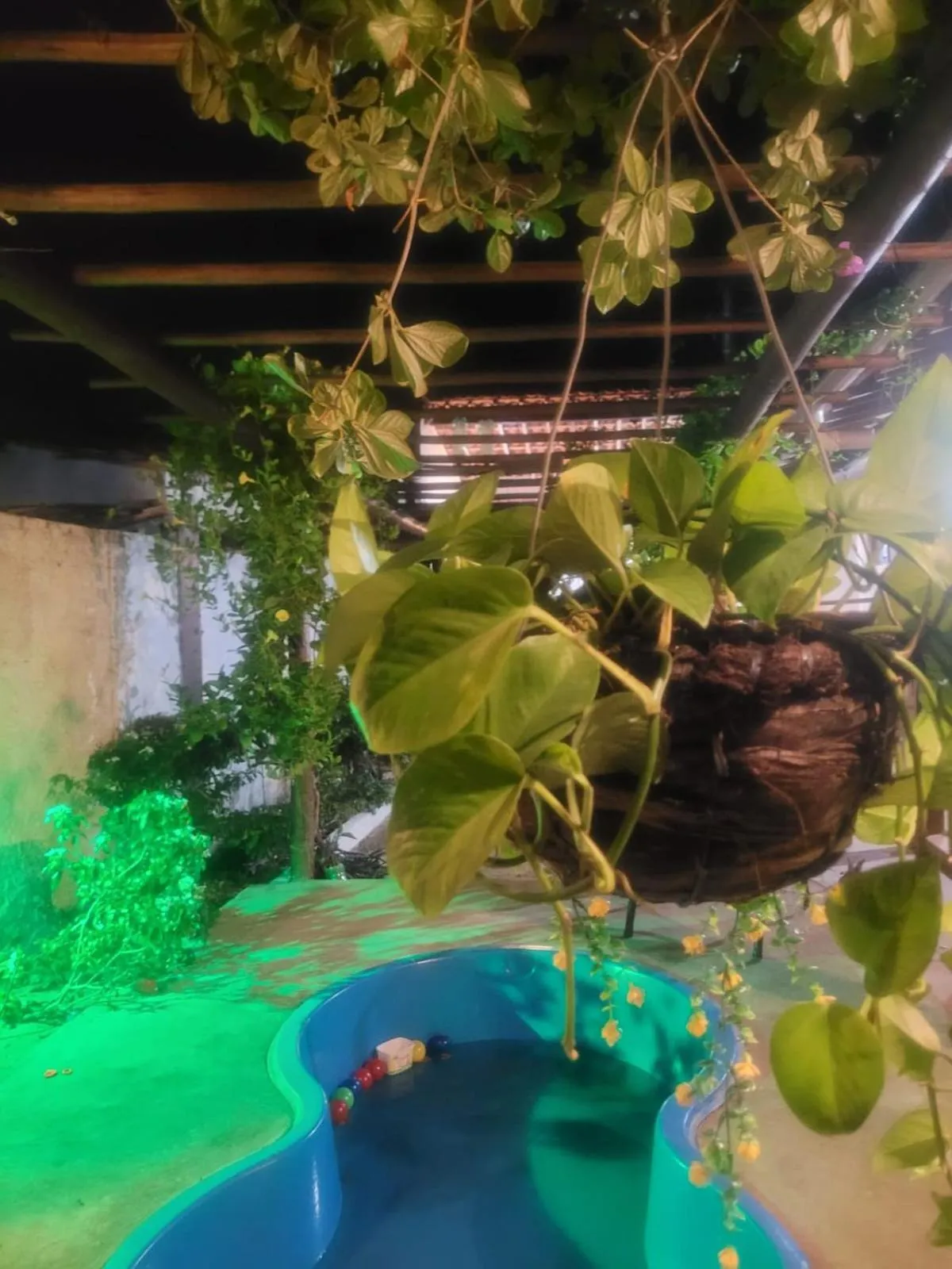 Swimming pool in Pousada Vento Norte