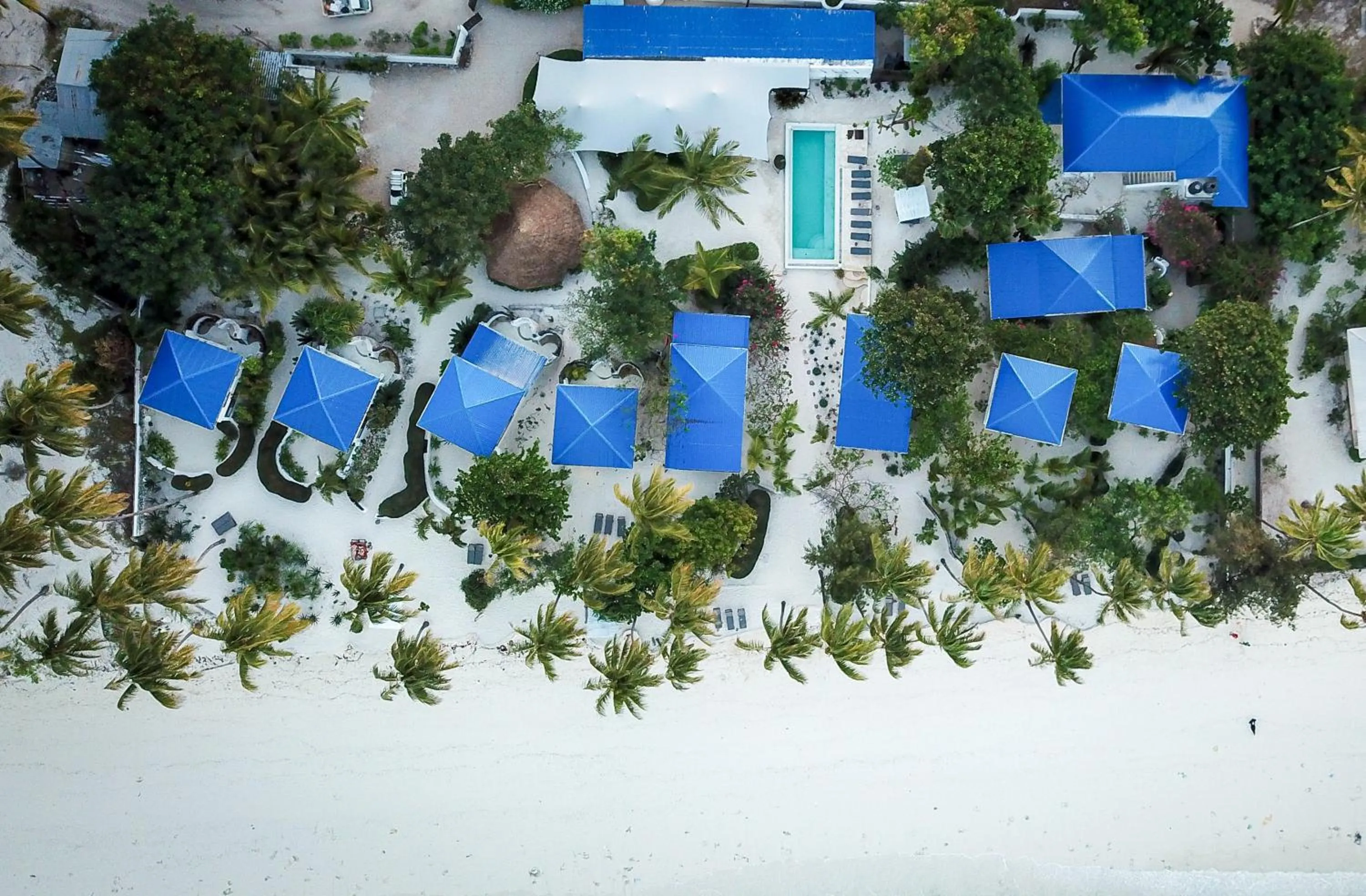 Bird's eye view in Indigo Beach Zanzibar