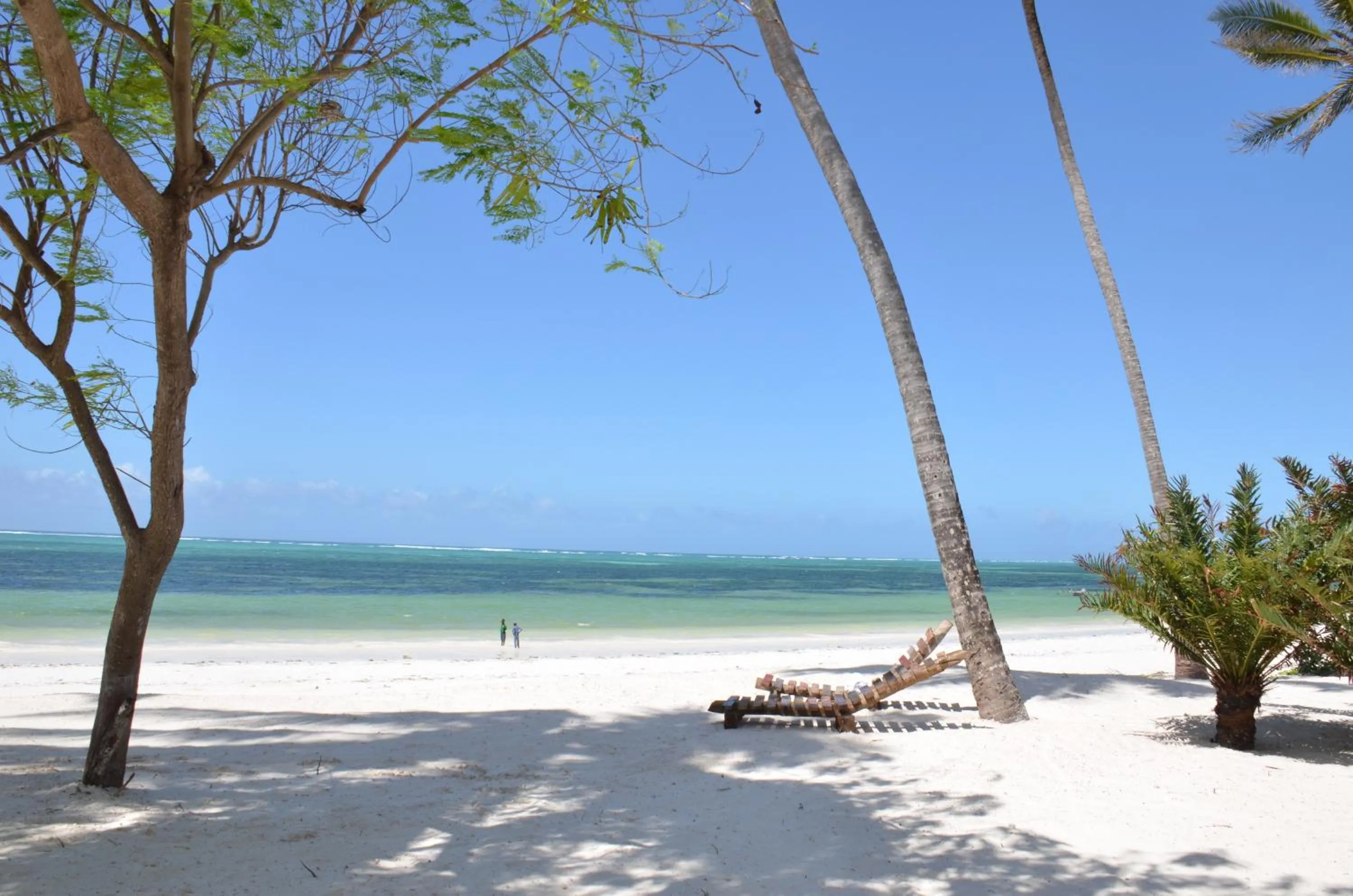 Day in Indigo Beach Zanzibar