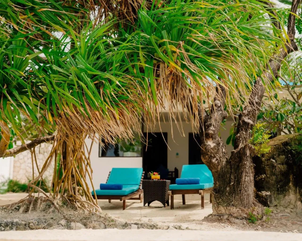 Indigo Beach Zanzibar