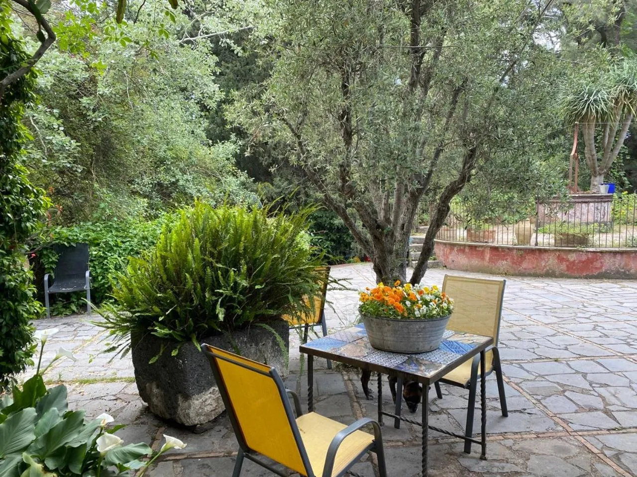 Property building in Etna Botanic Garden