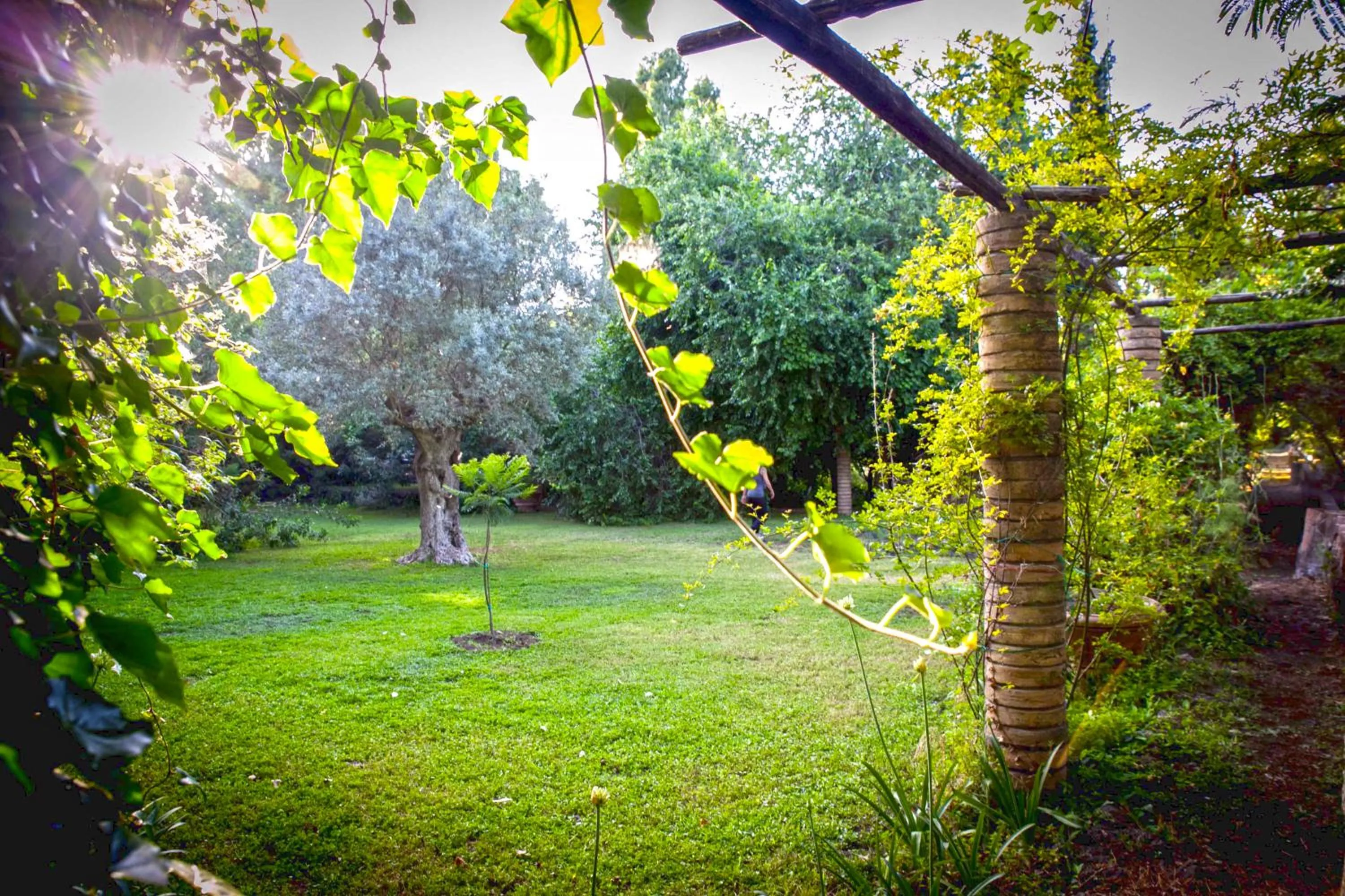 Garden in Etna Botanic Garden