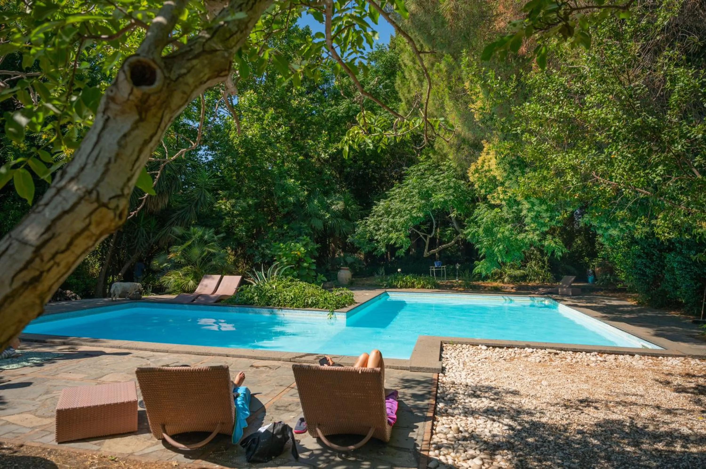 Swimming pool in Etna Botanic Garden
