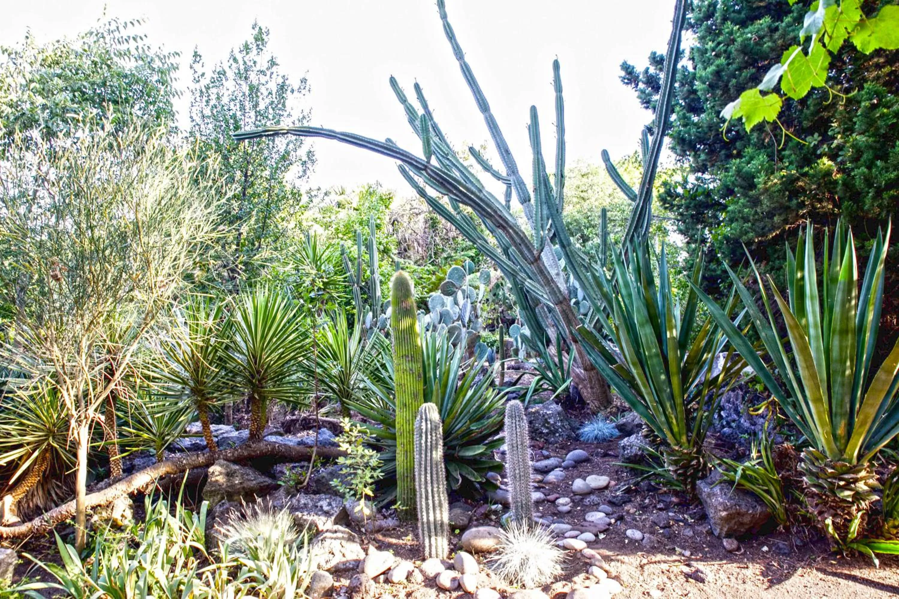 Property building in Etna Botanic Garden
