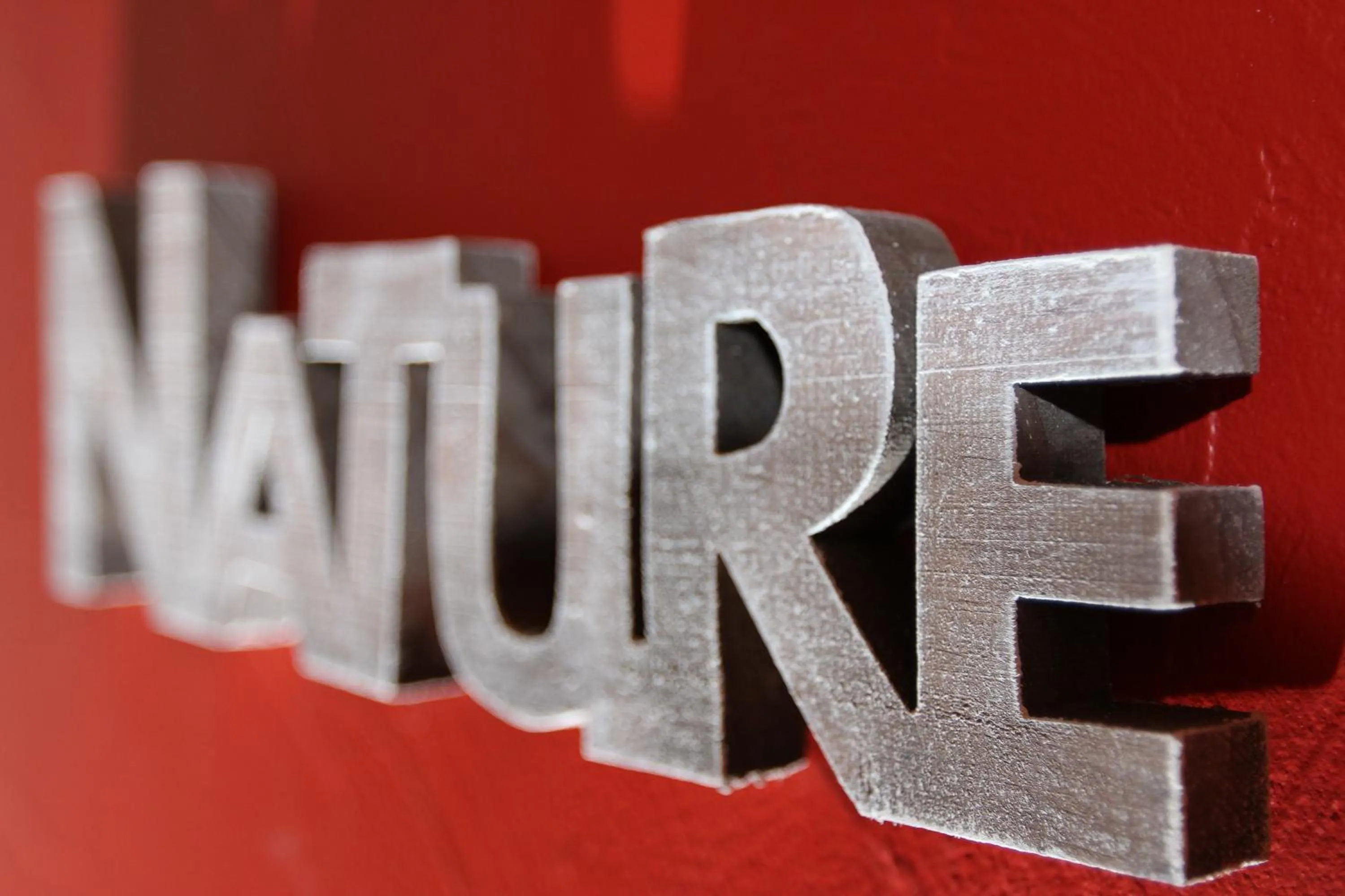 Decorative detail in Hôtel Restaurant Les Alisiers