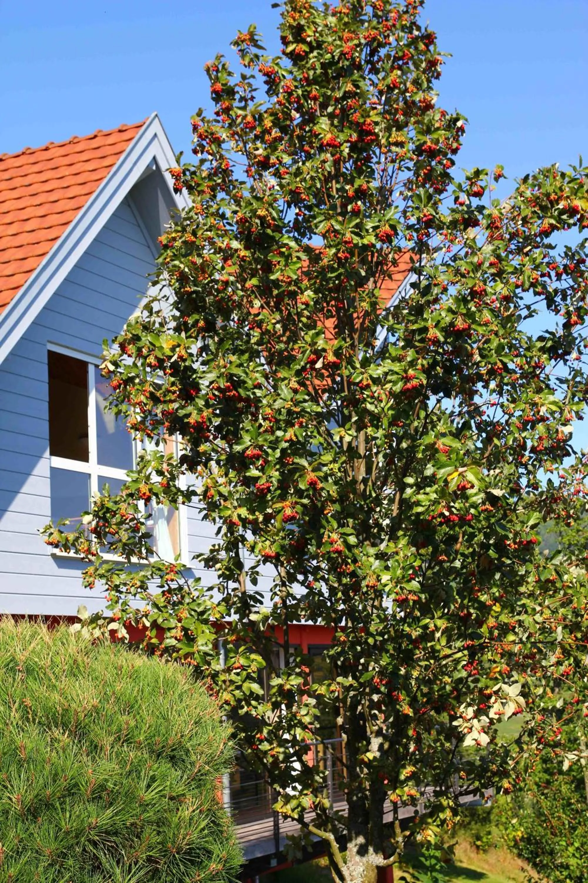 Property building in Hôtel Restaurant Les Alisiers