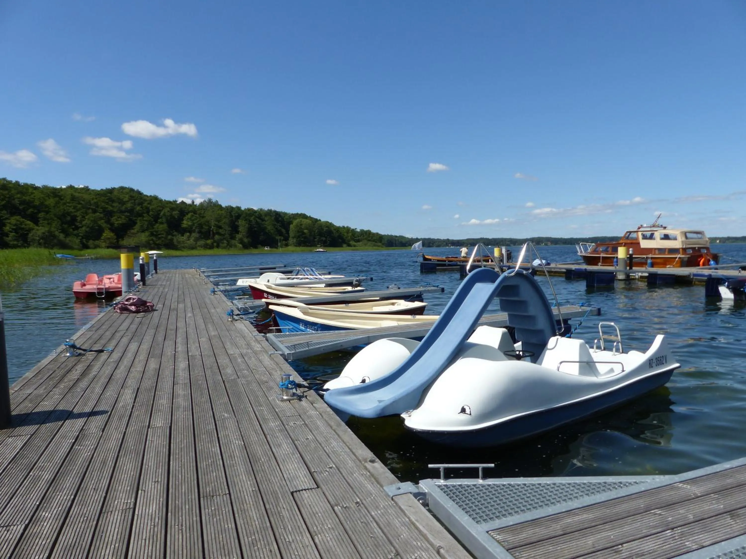 Sports in BEECH Resort Plauer See