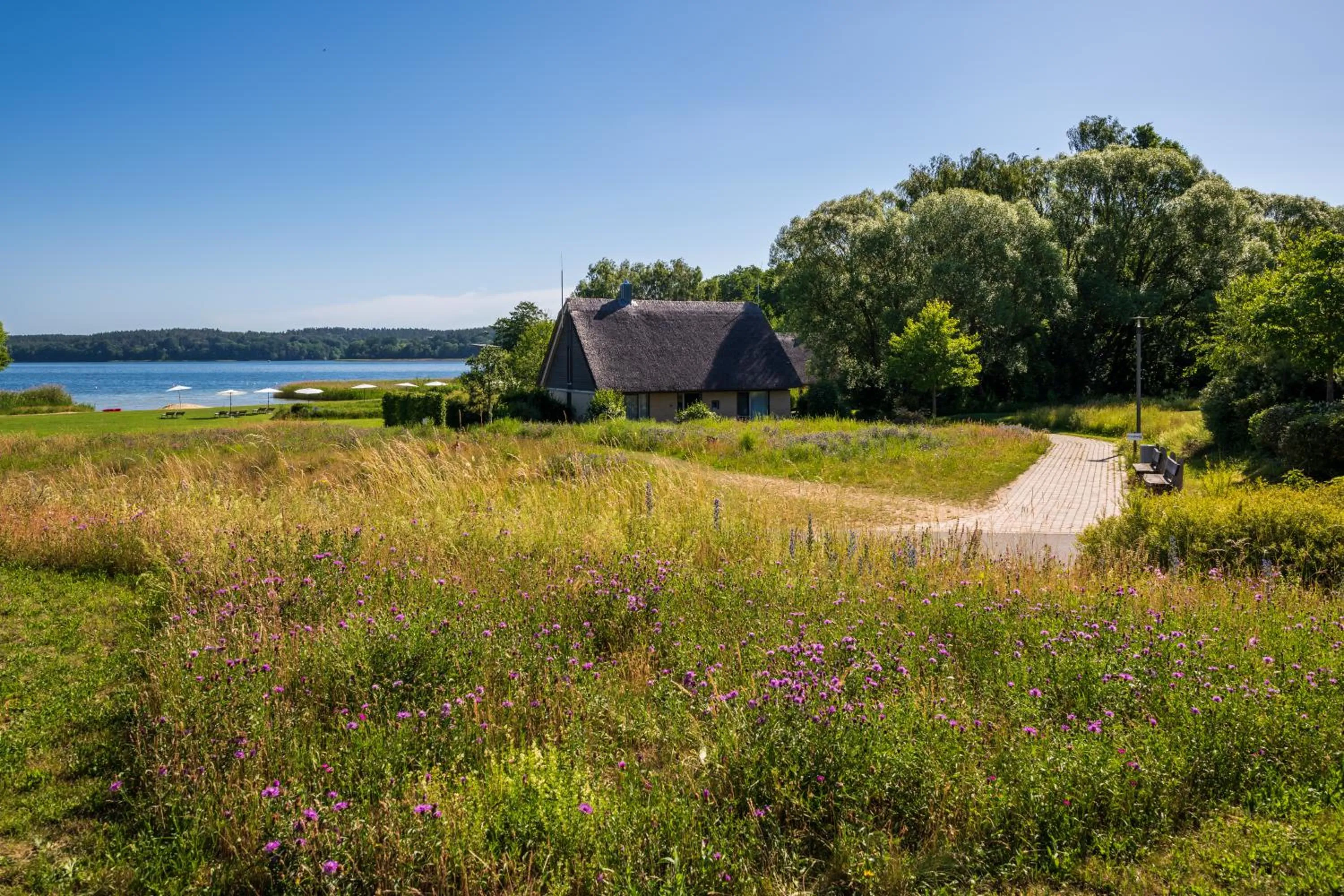 Property building in BEECH Resort Plauer See