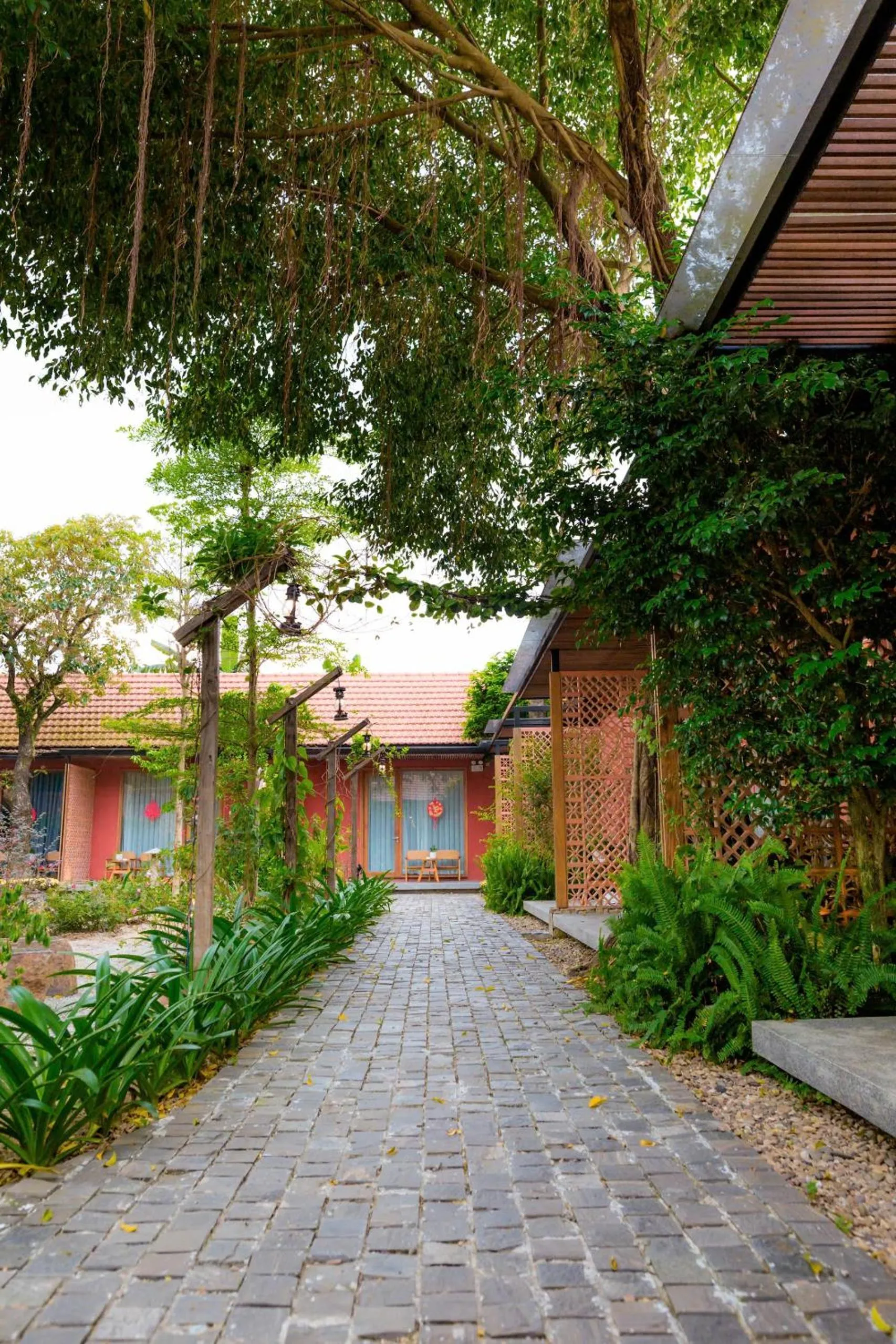 Garden view in TRUONG PHU HOUSE - HOTEL & APARTMENT