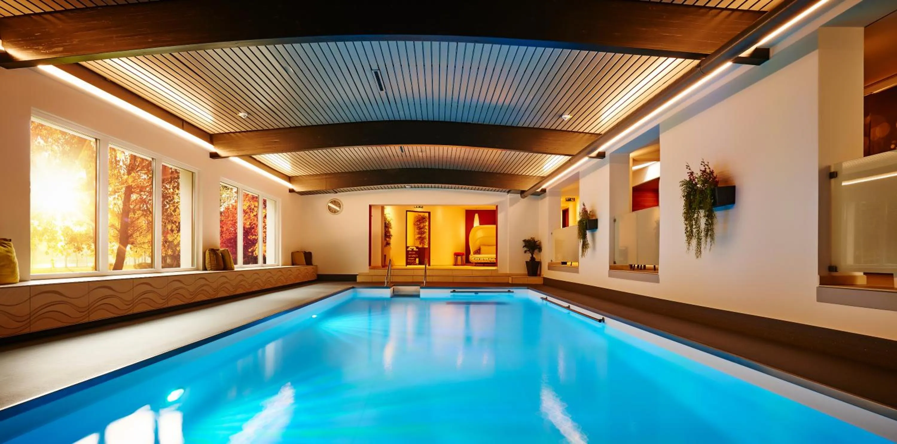 Swimming pool in Wellnesshotel Zum Koch