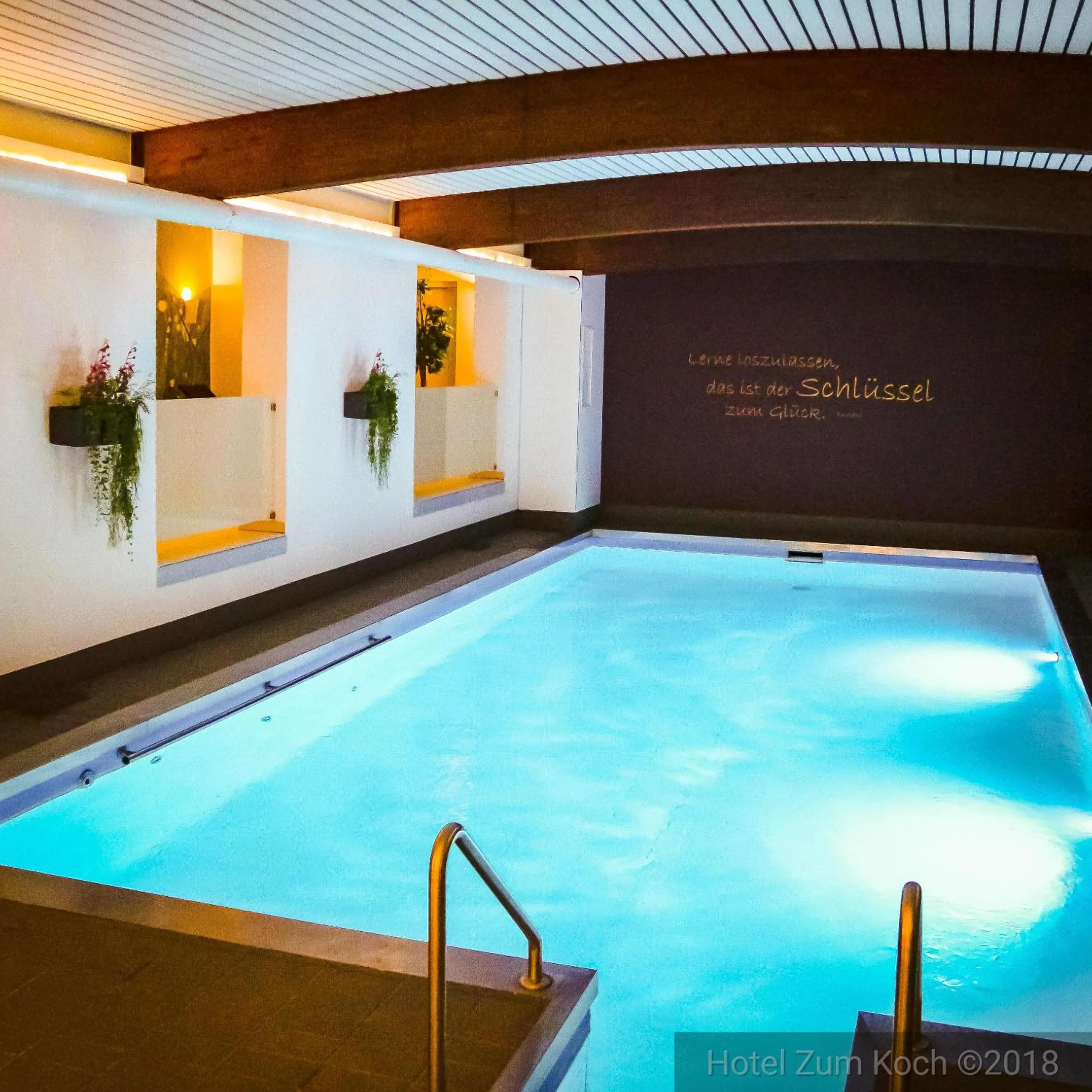 Swimming pool in Wellnesshotel Zum Koch