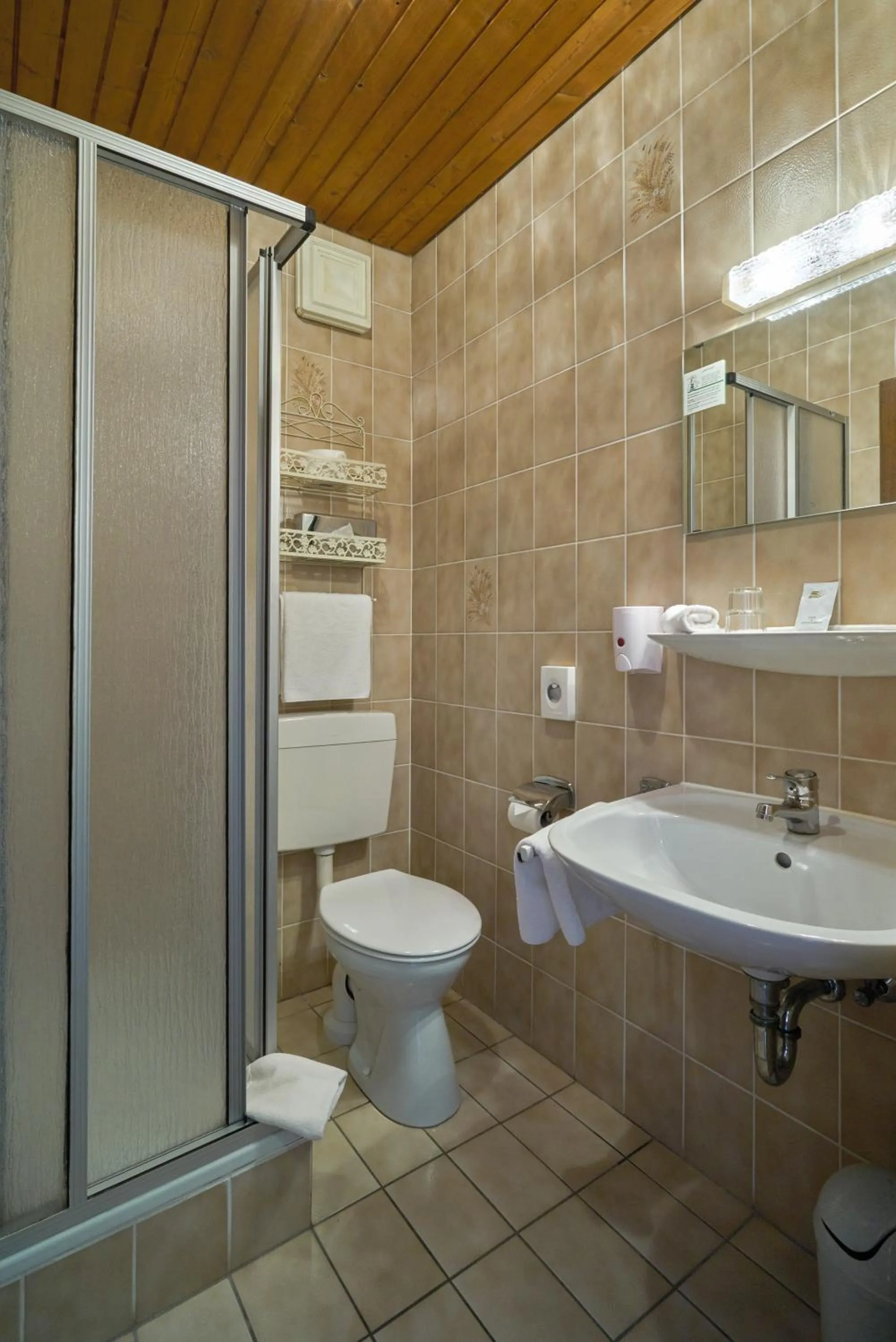 Shower in Wellnesshotel Zum Koch