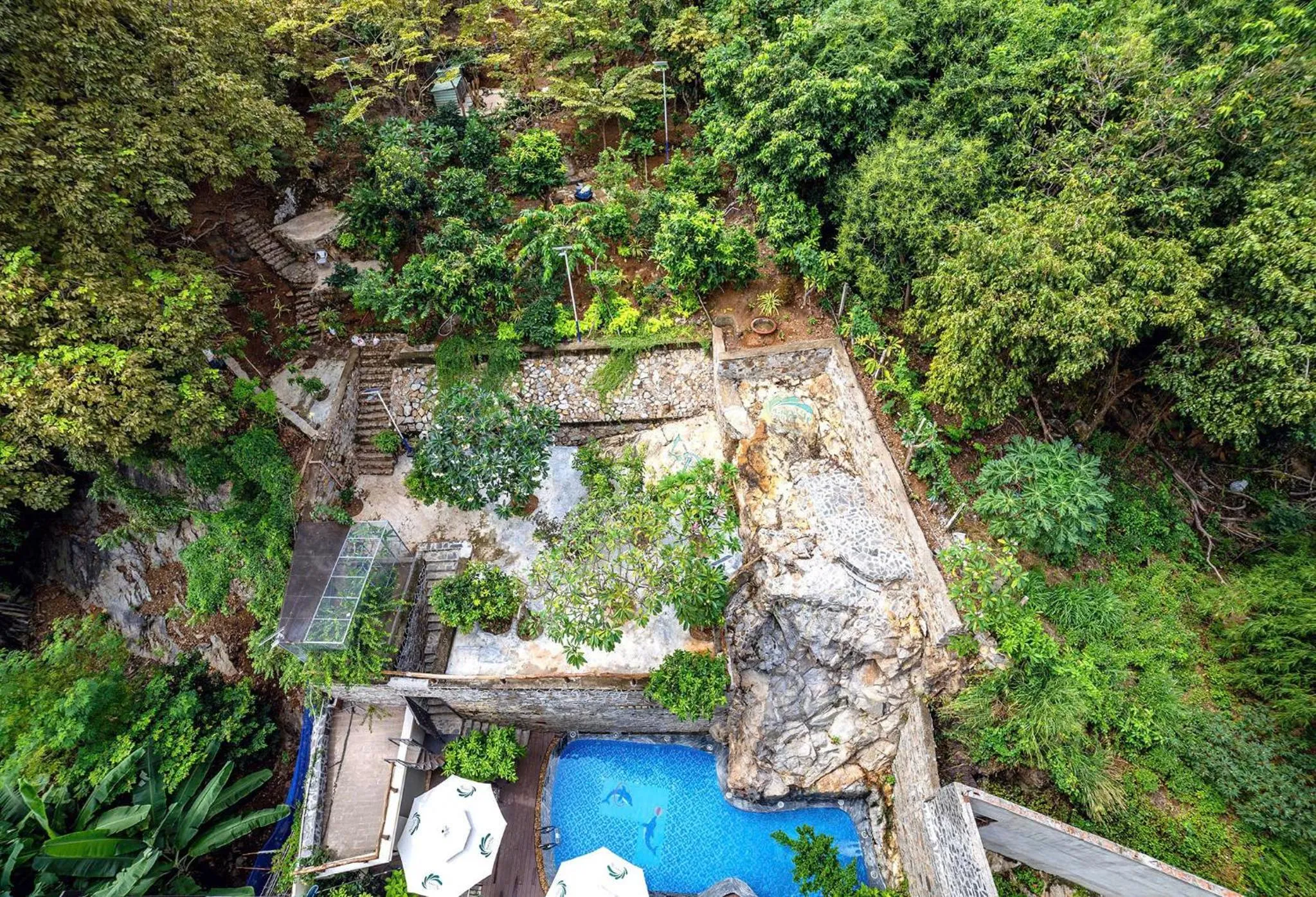 Natural landscape in Green LP Hotel & Apartment