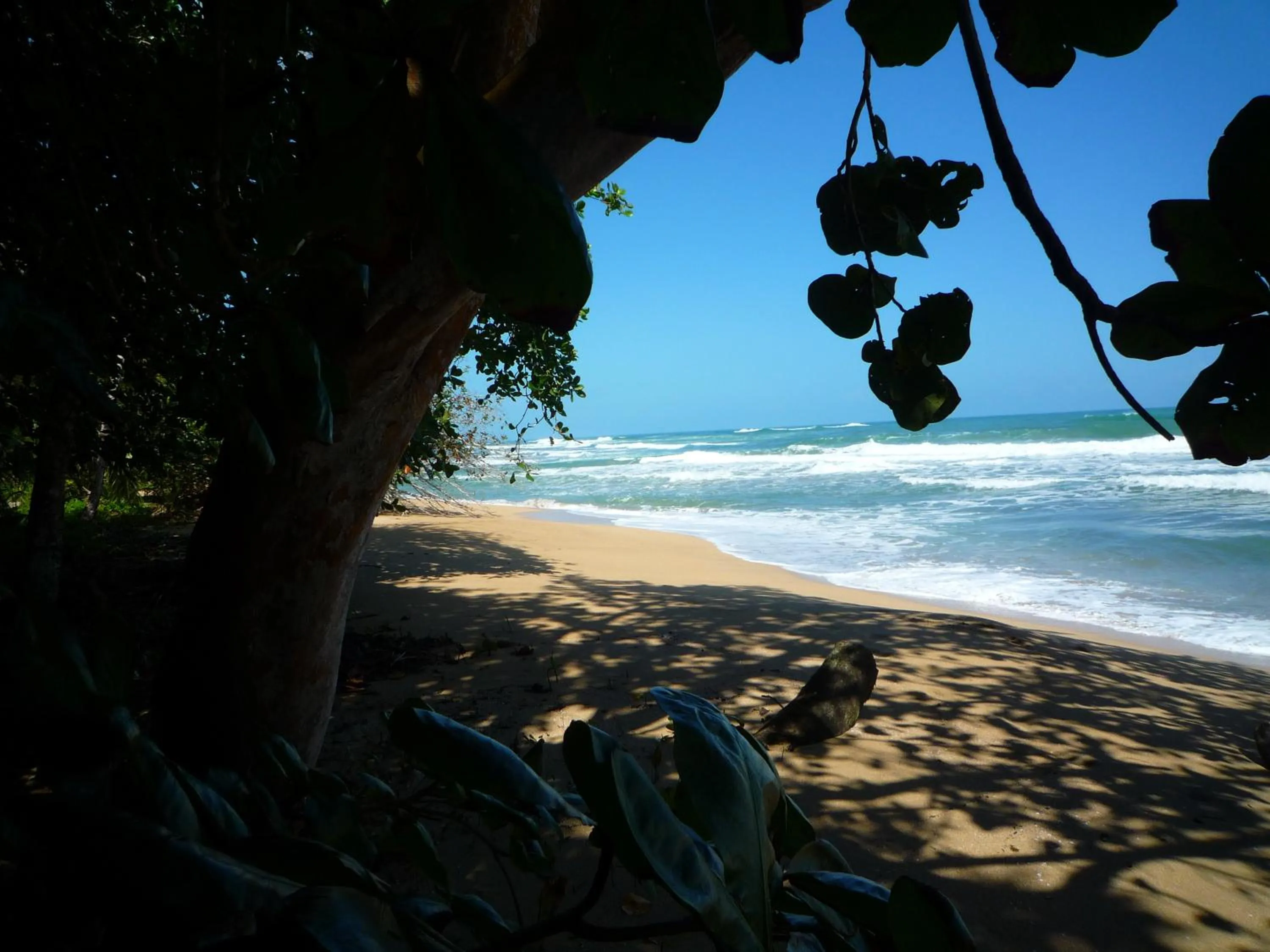 Beach in Mar Verde Lodge