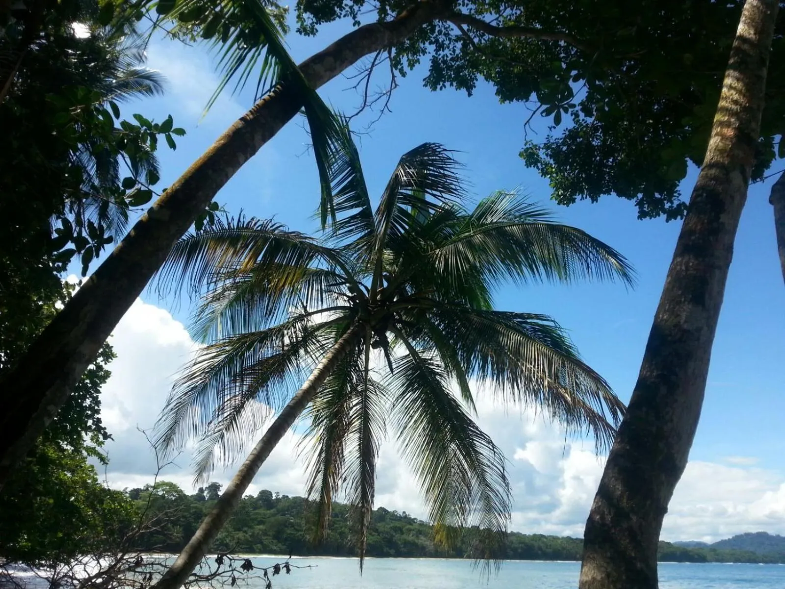 Other in Mar Verde Lodge