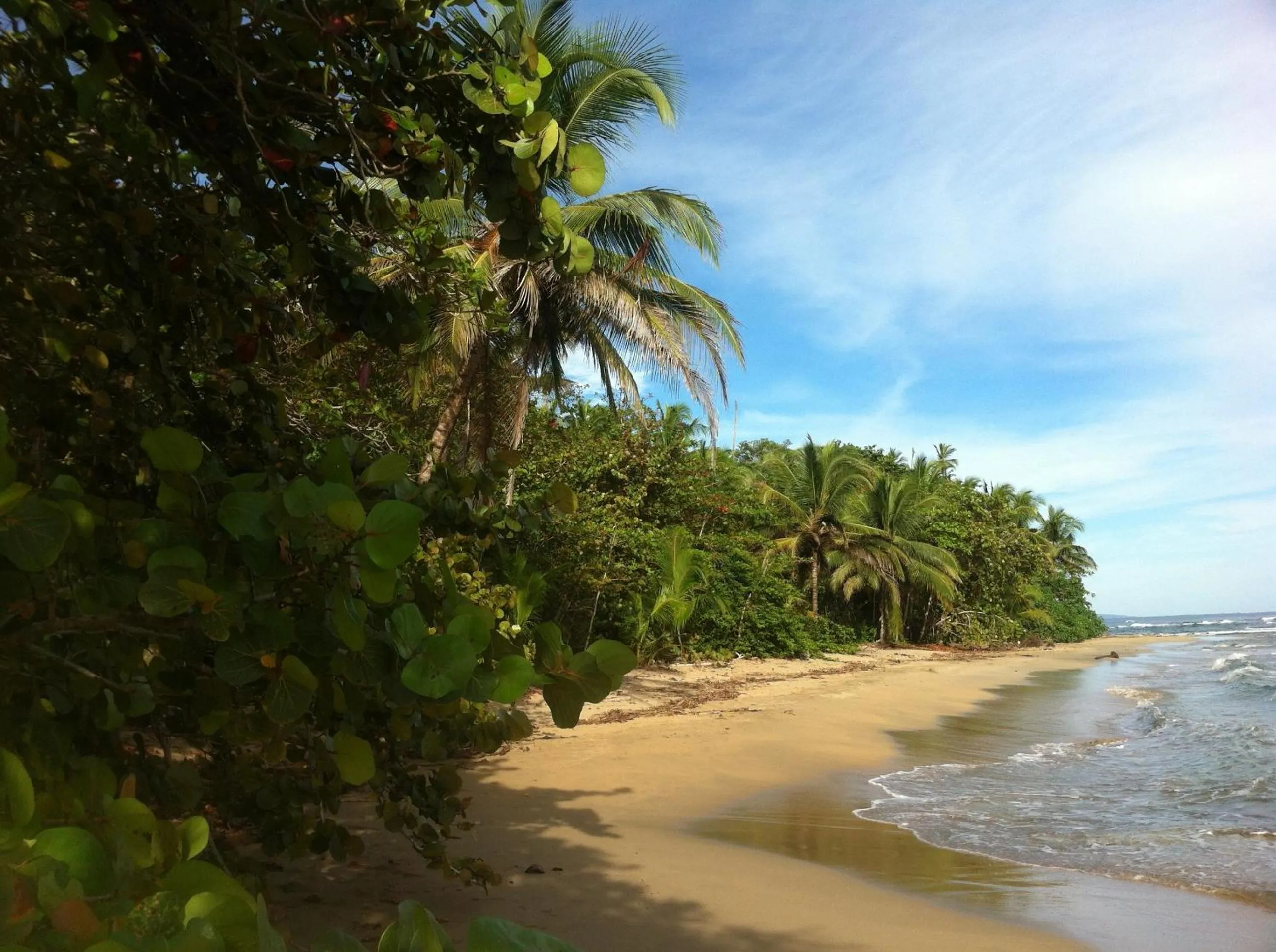 Beach in Mar Verde Lodge