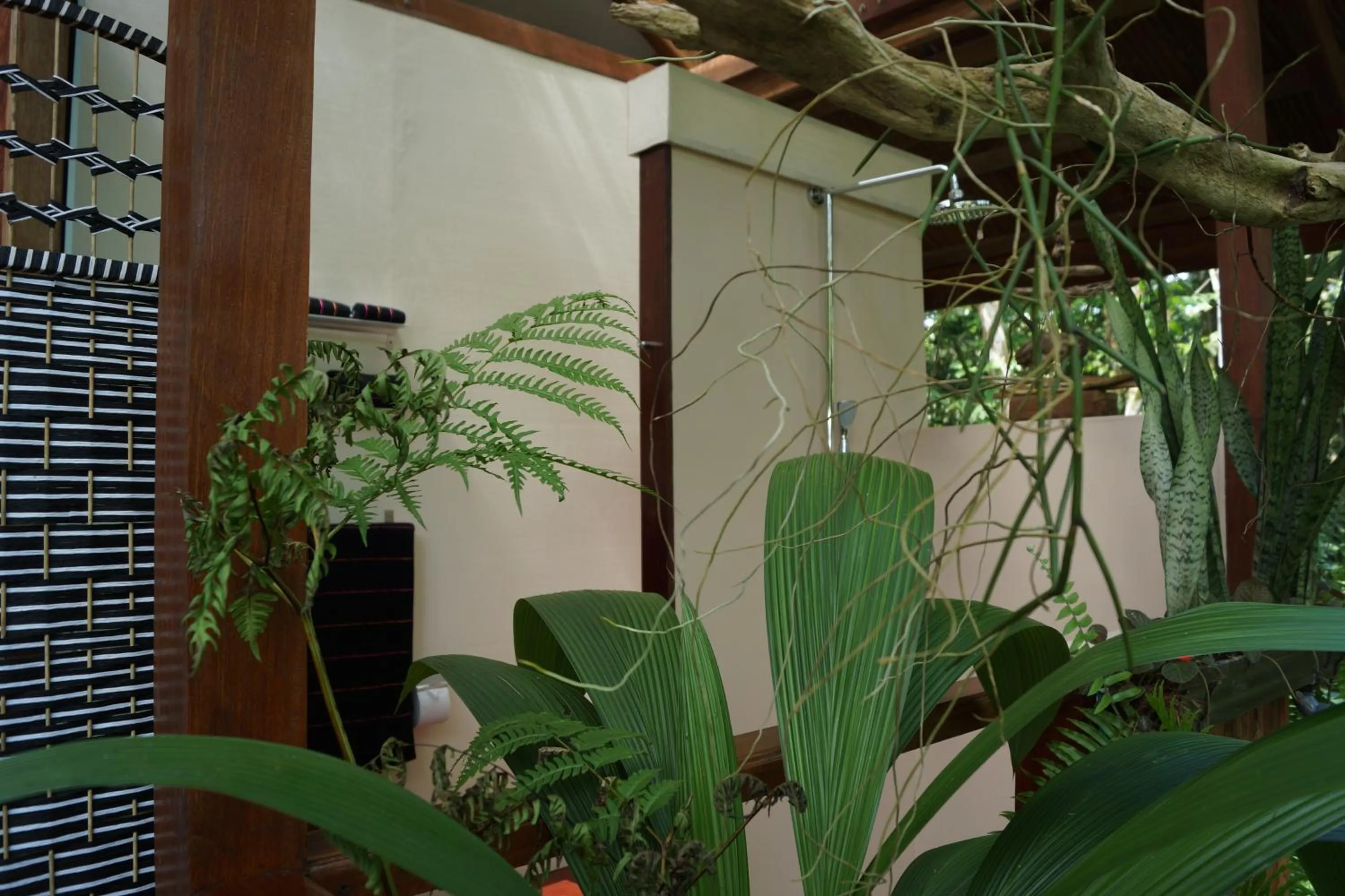 Other in Mar Verde Lodge