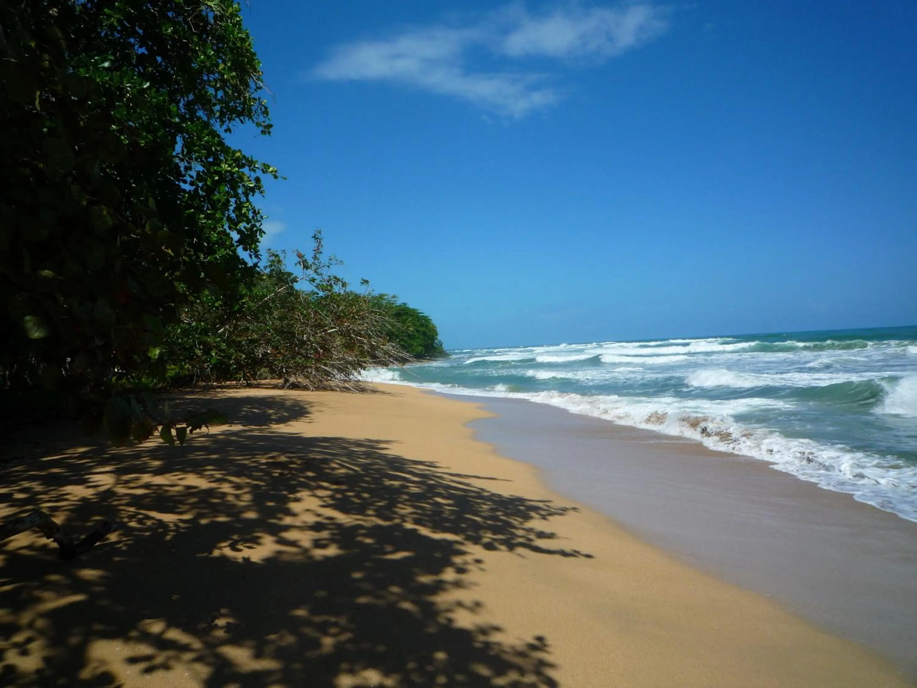 Beach in Mar Verde Lodge