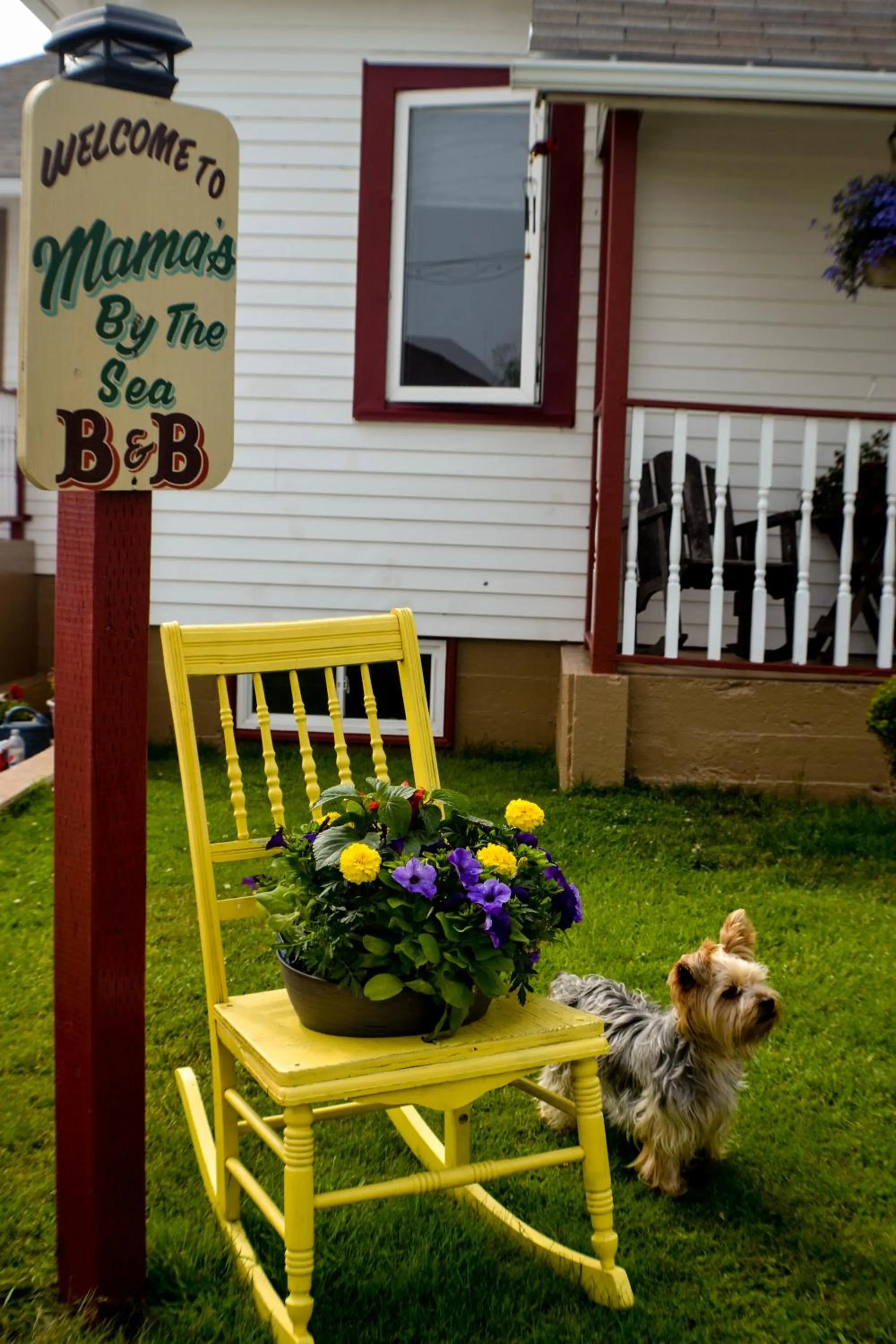 Property logo or sign in Mama`s By The Sea B&B