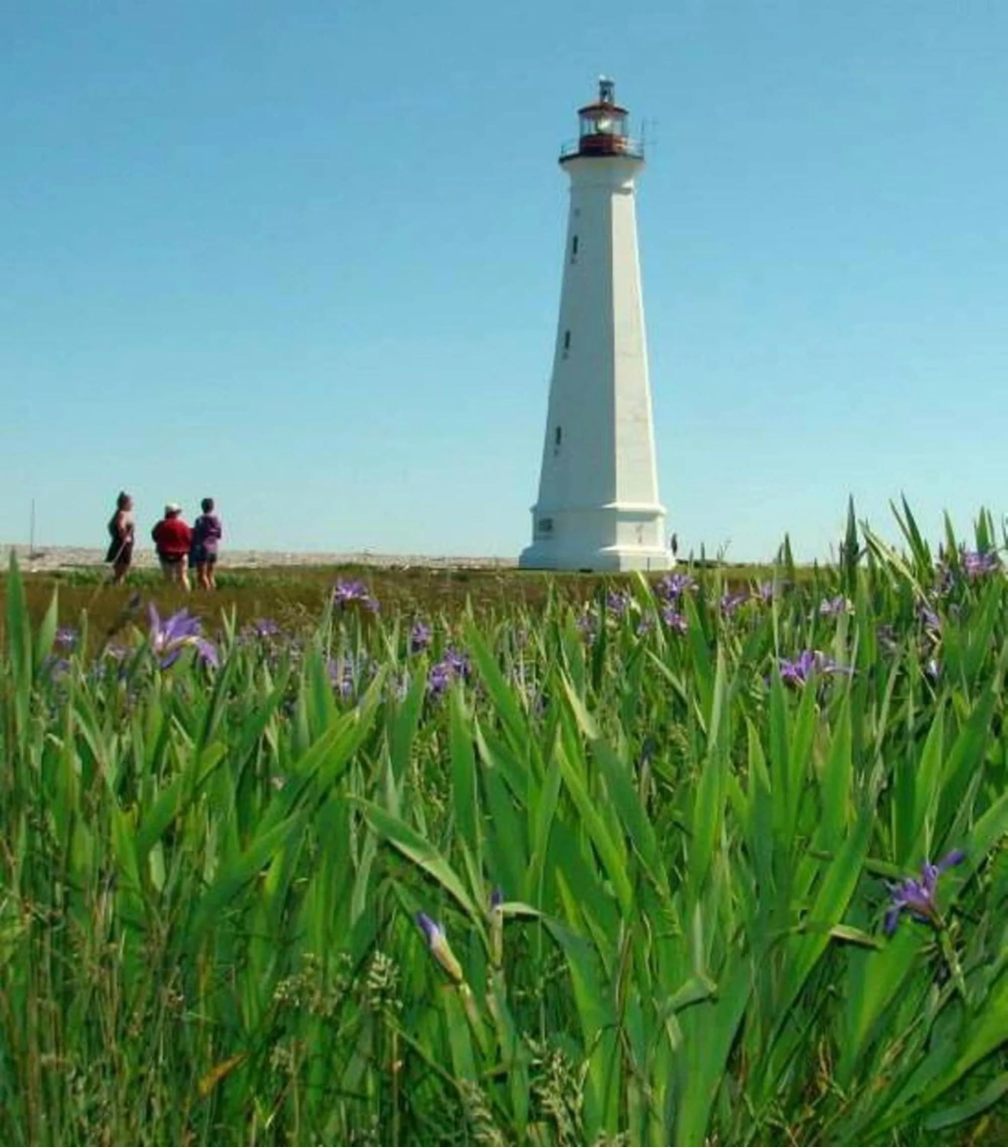 Nearby landmark in Mama`s By The Sea B&B