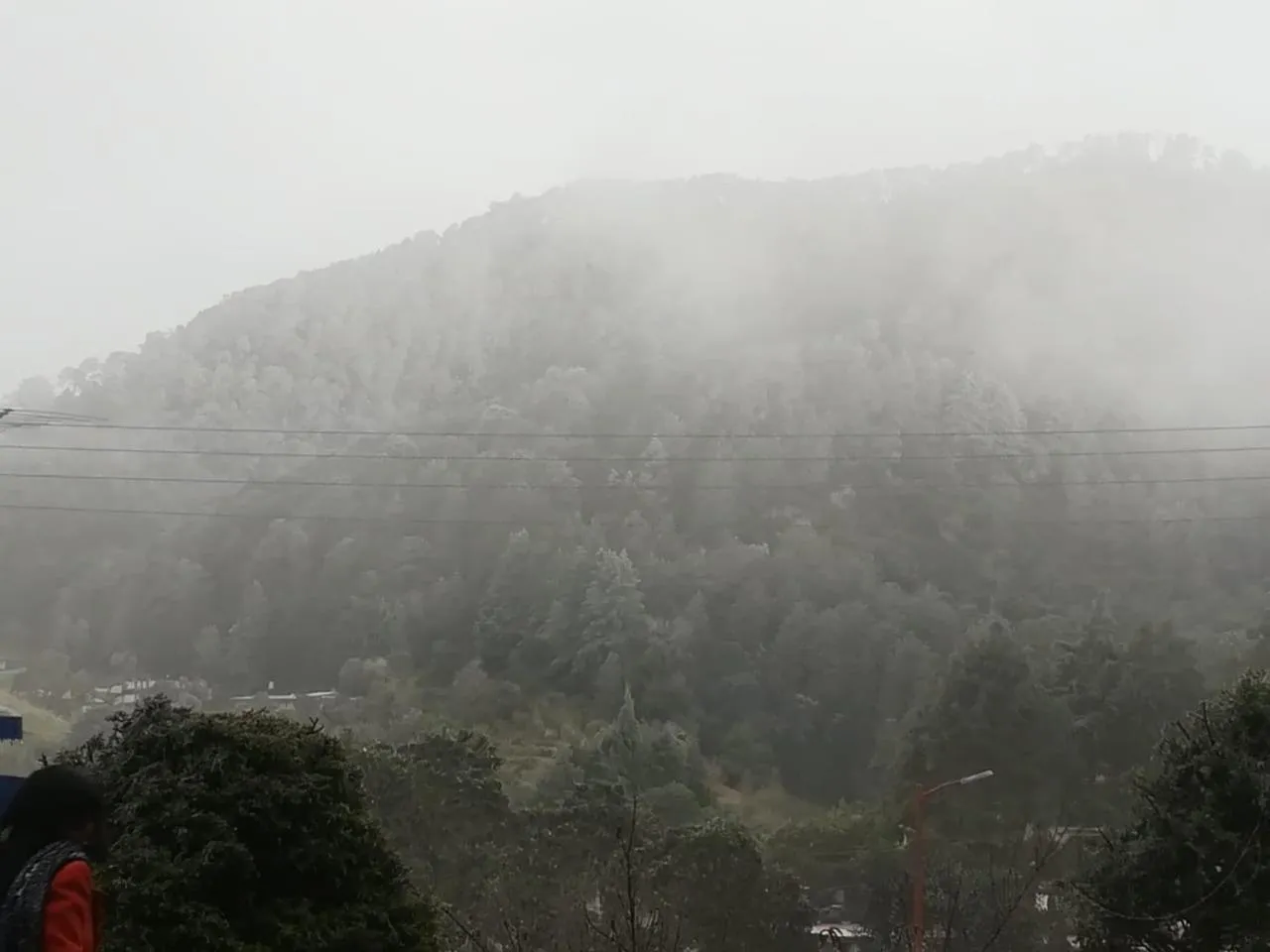 Other in Cabañas 5 Pinos