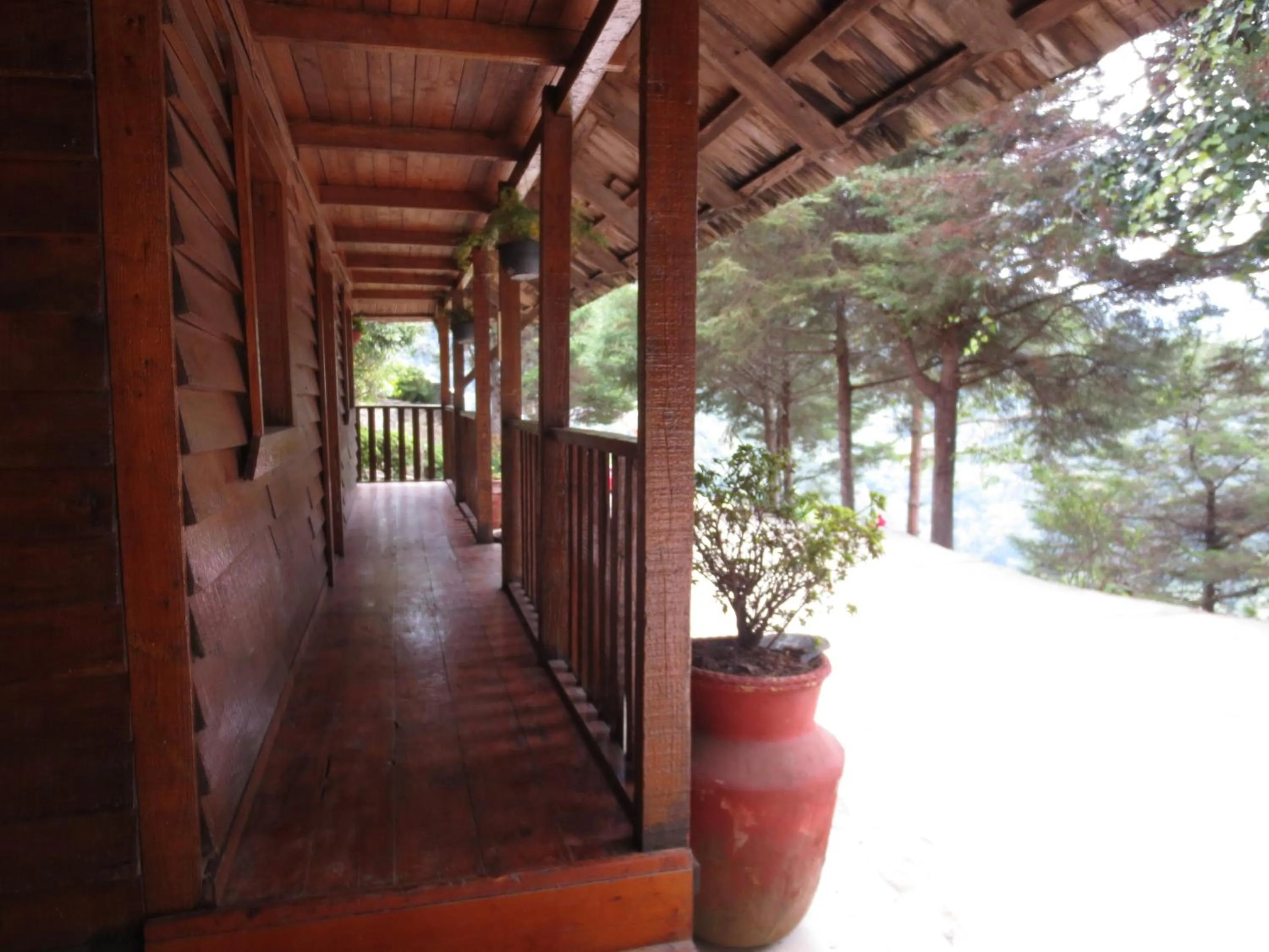 Patio in Cabañas 5 Pinos