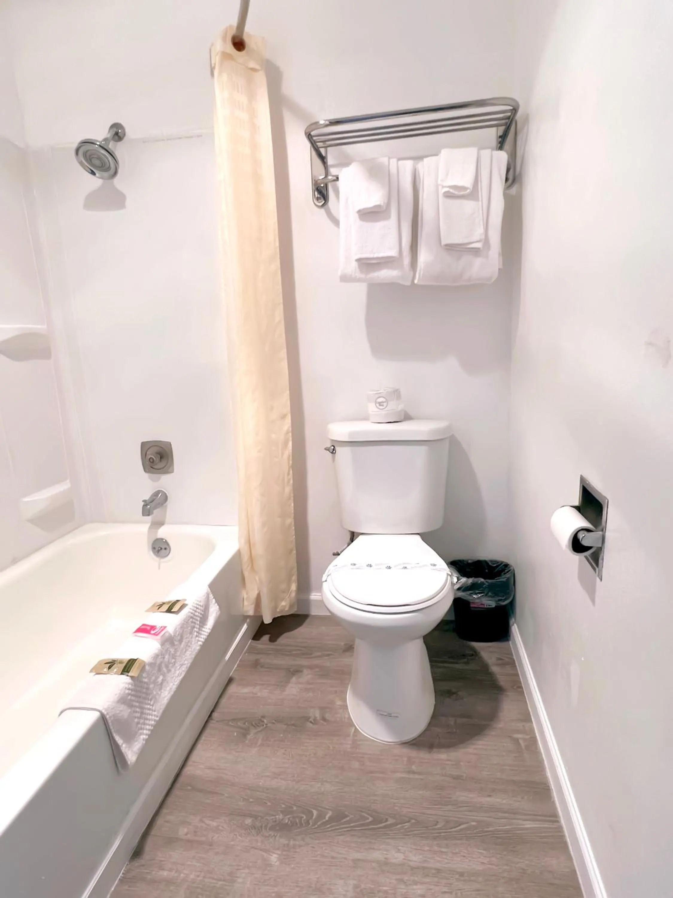 Bathroom in Economy Inn