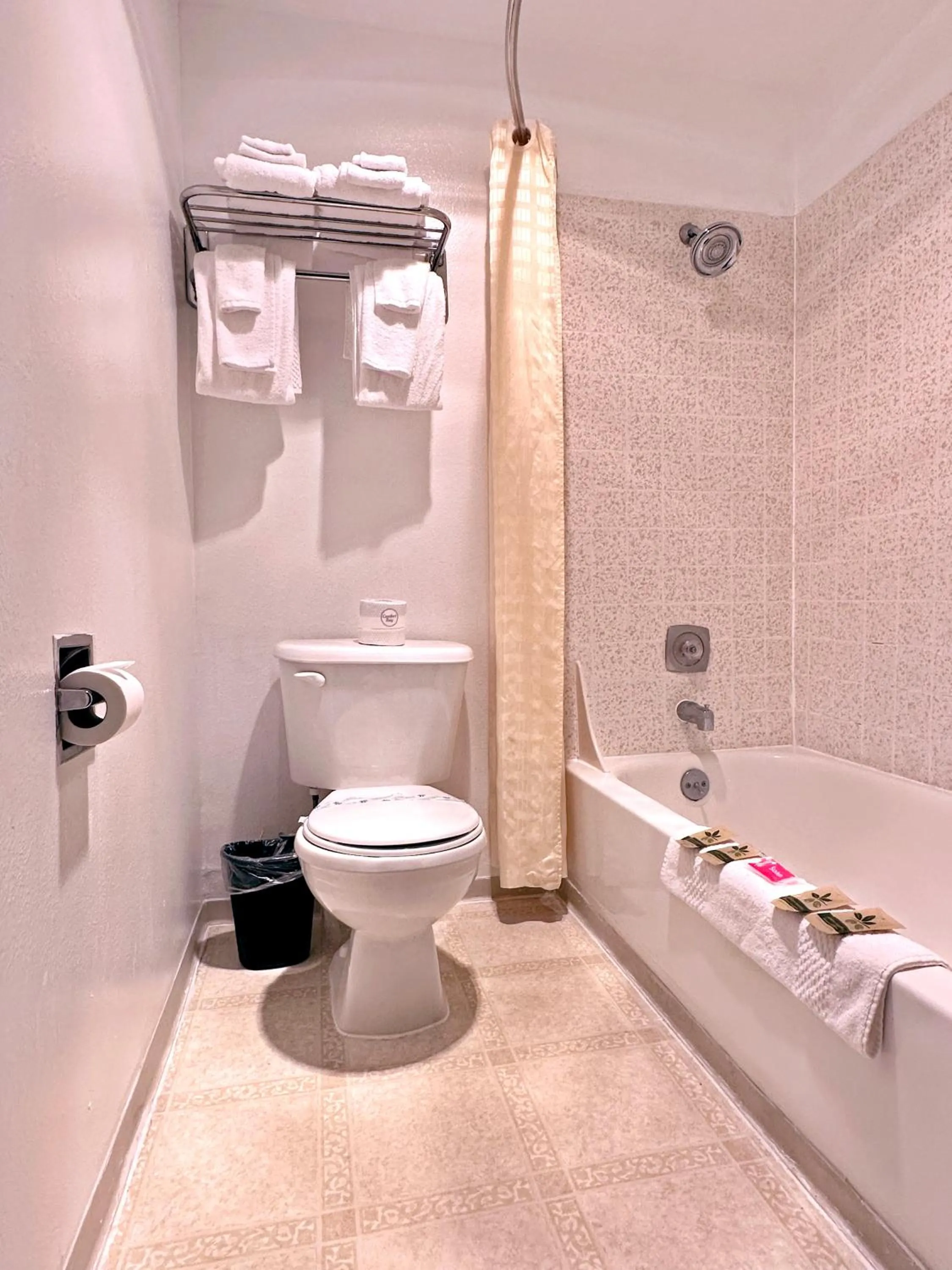 Bathroom in Economy Inn