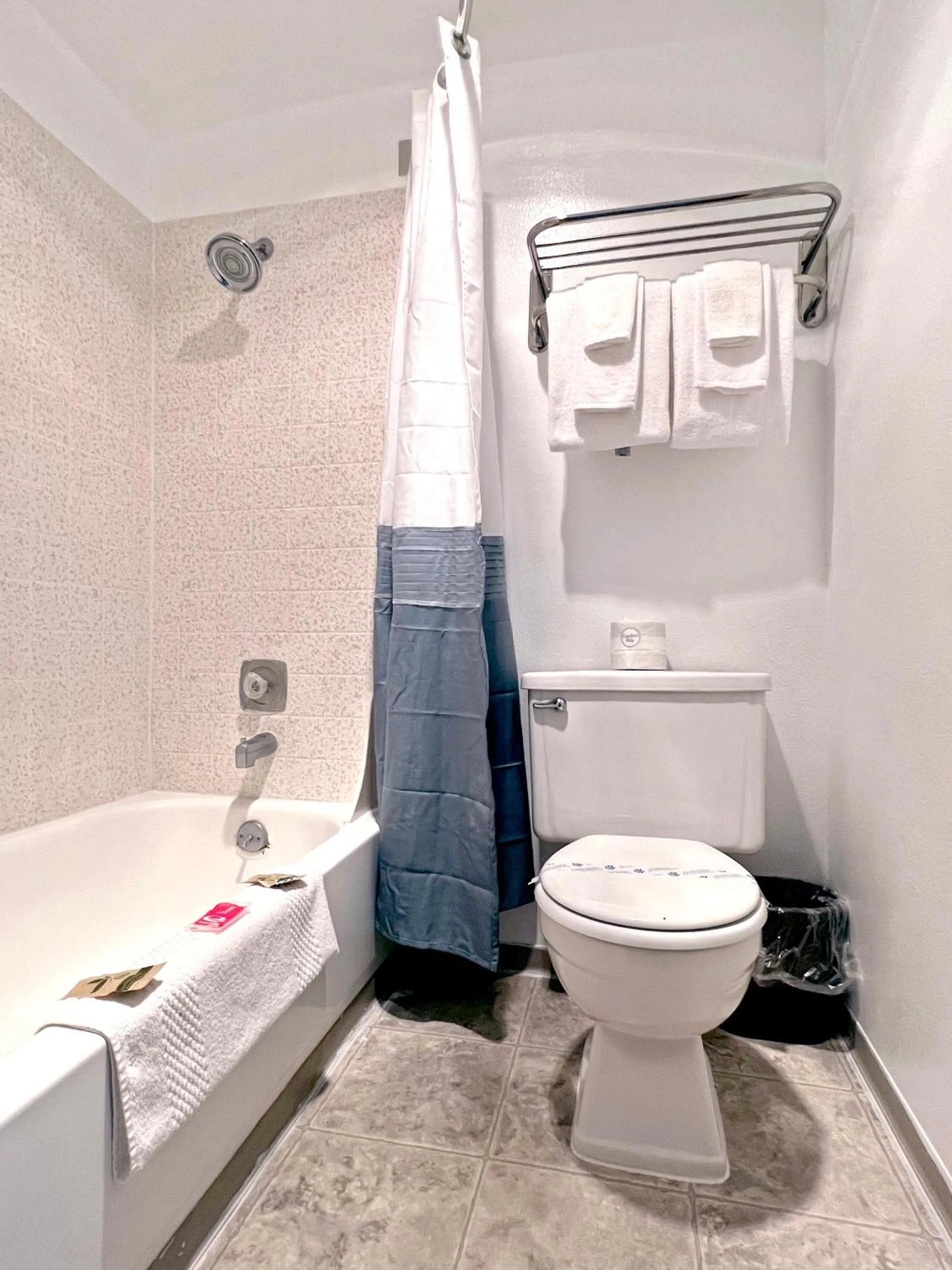 Bathroom in Economy Inn