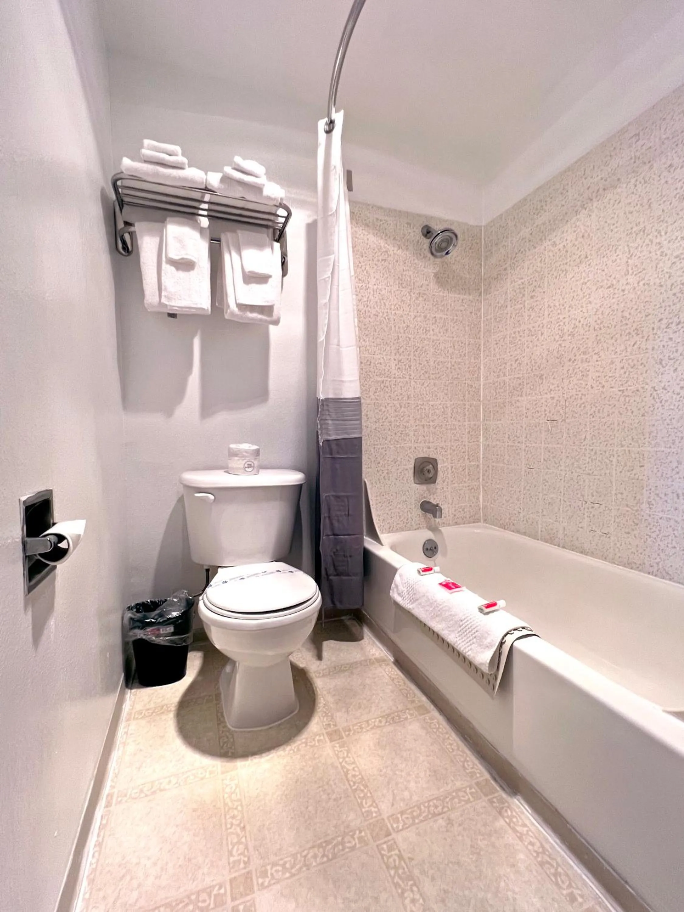 Bathroom in Economy Inn