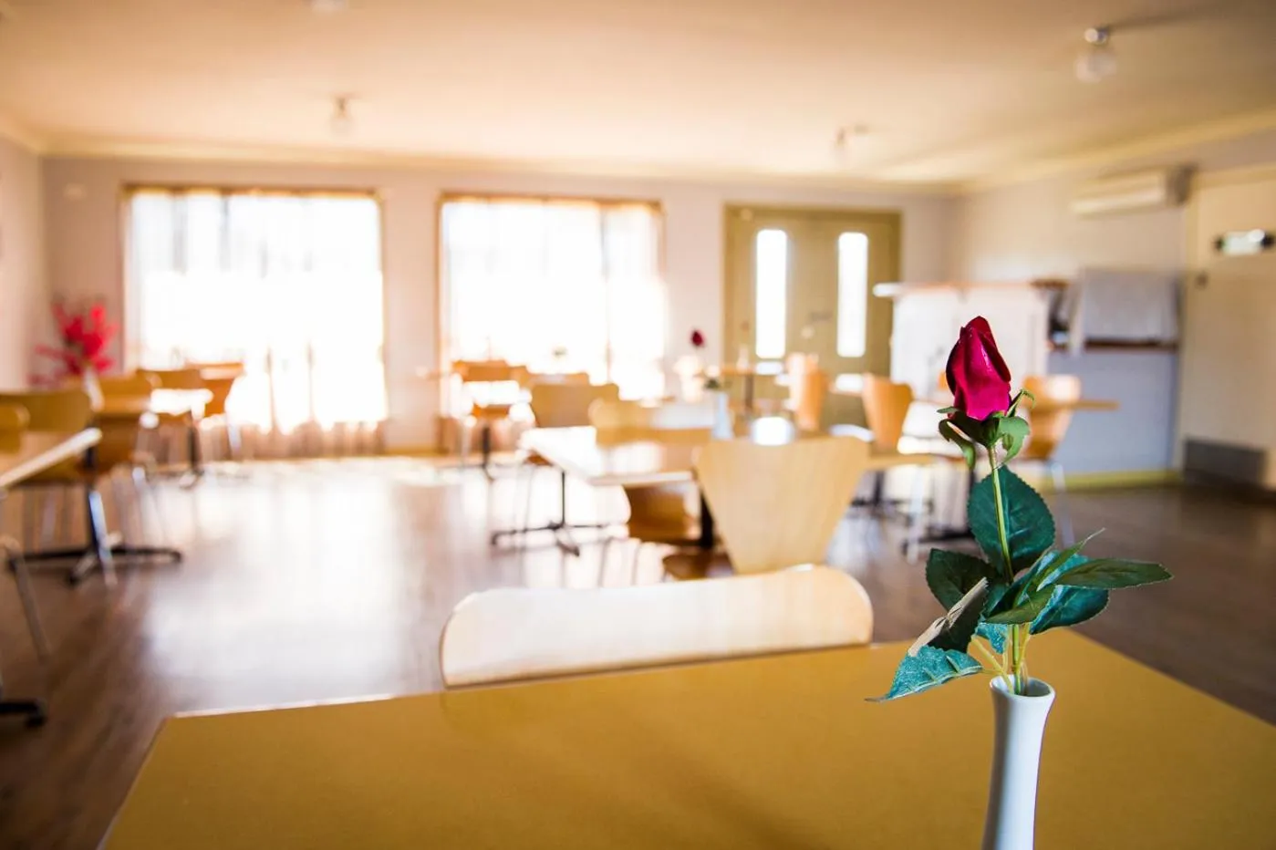Decorative detail in Cherry Blossom Motor Inn