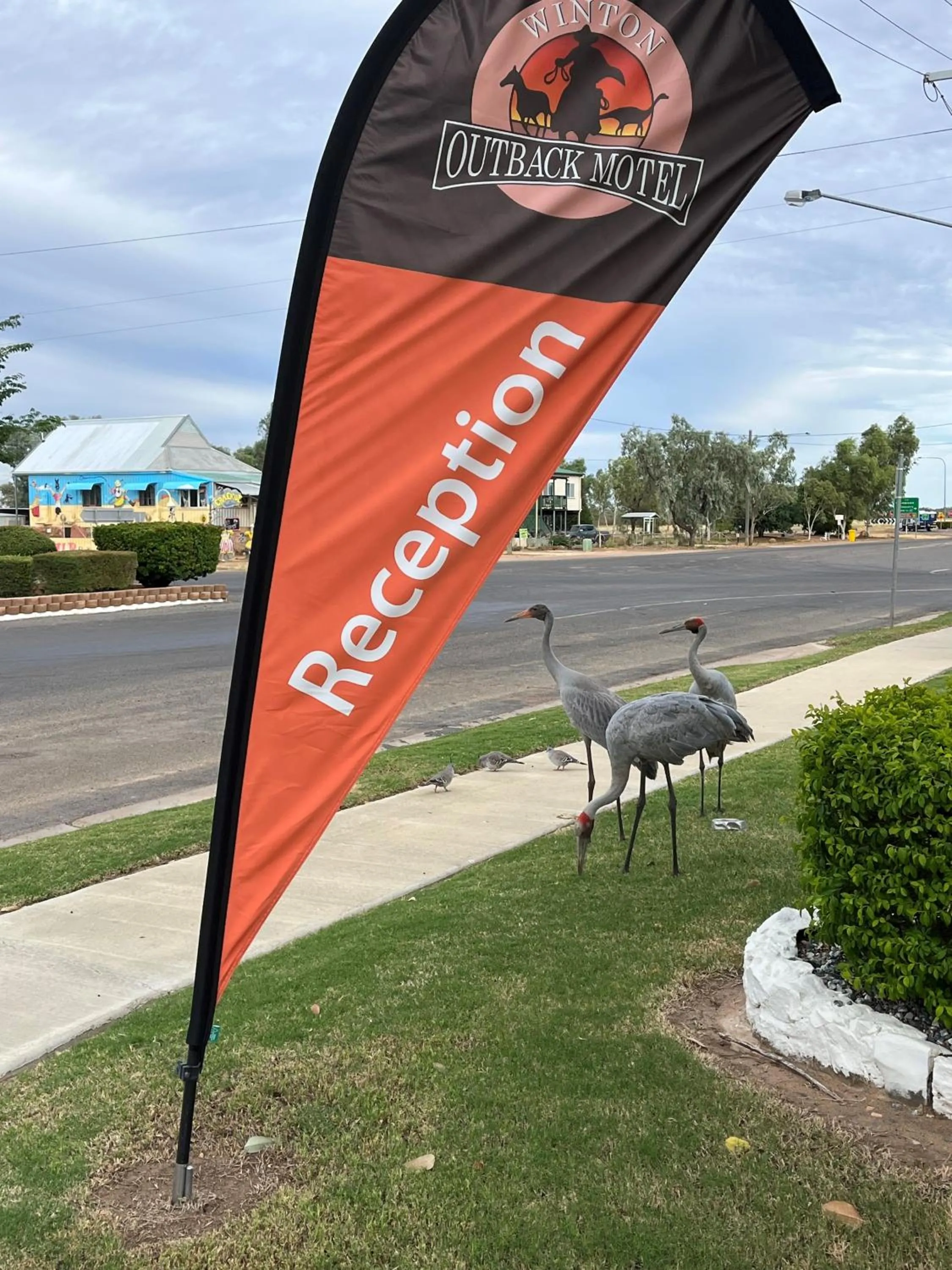 Entertainment in Winton Outback Motel