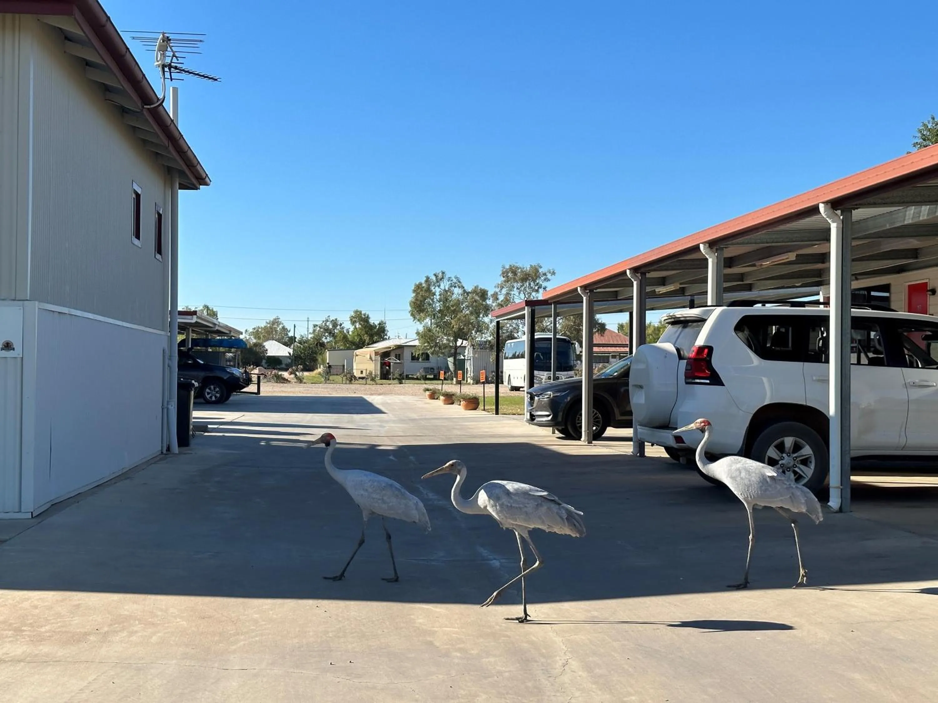 Parking in Winton Outback Motel