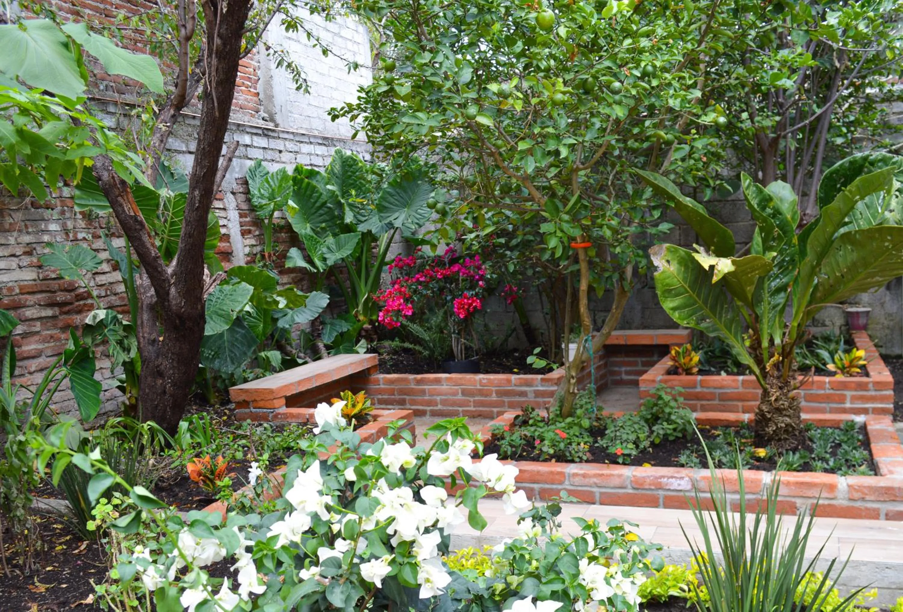 Lobby or reception in Capital O Casa Rotter