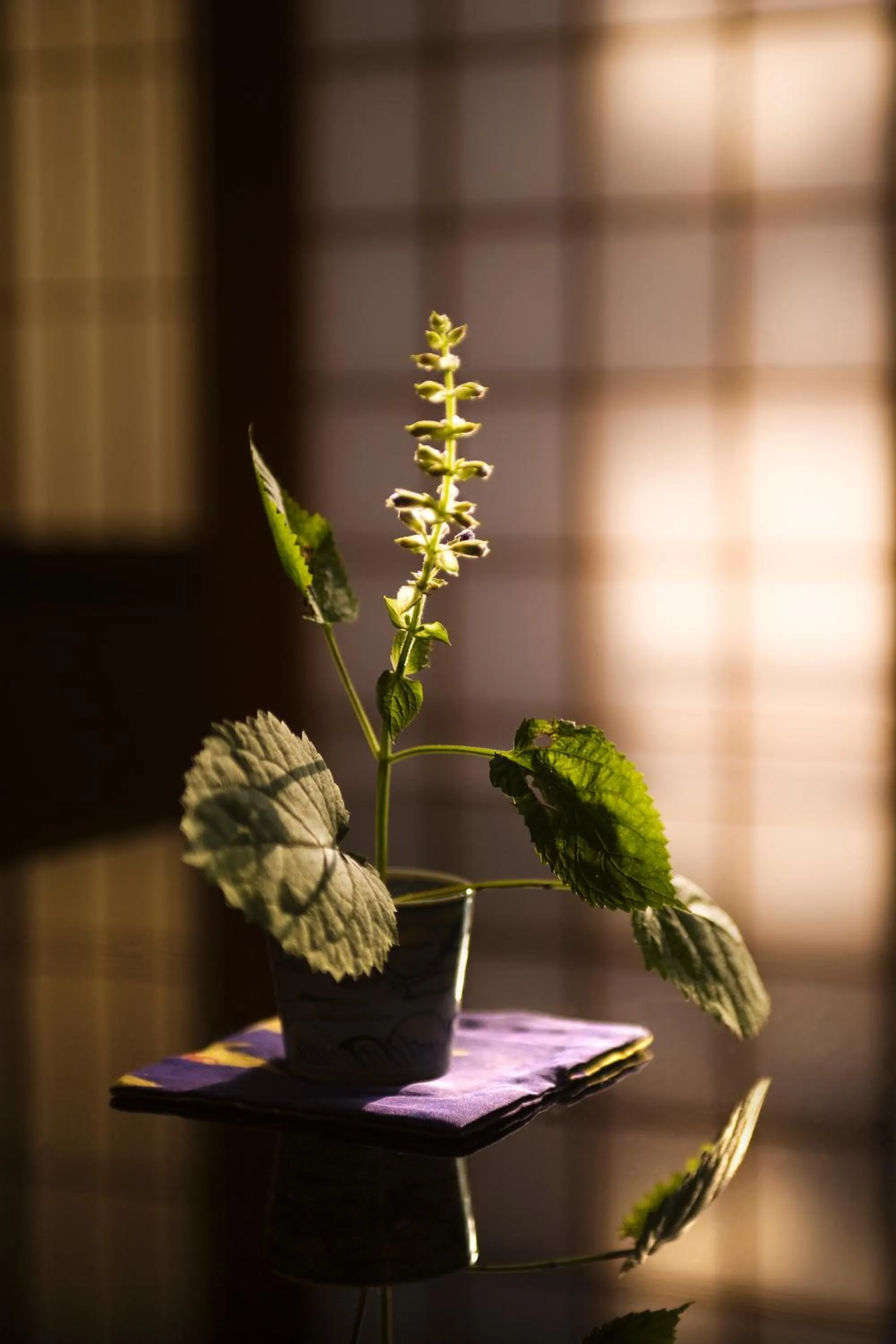 View (from property/room) in Motoyu Ishiya