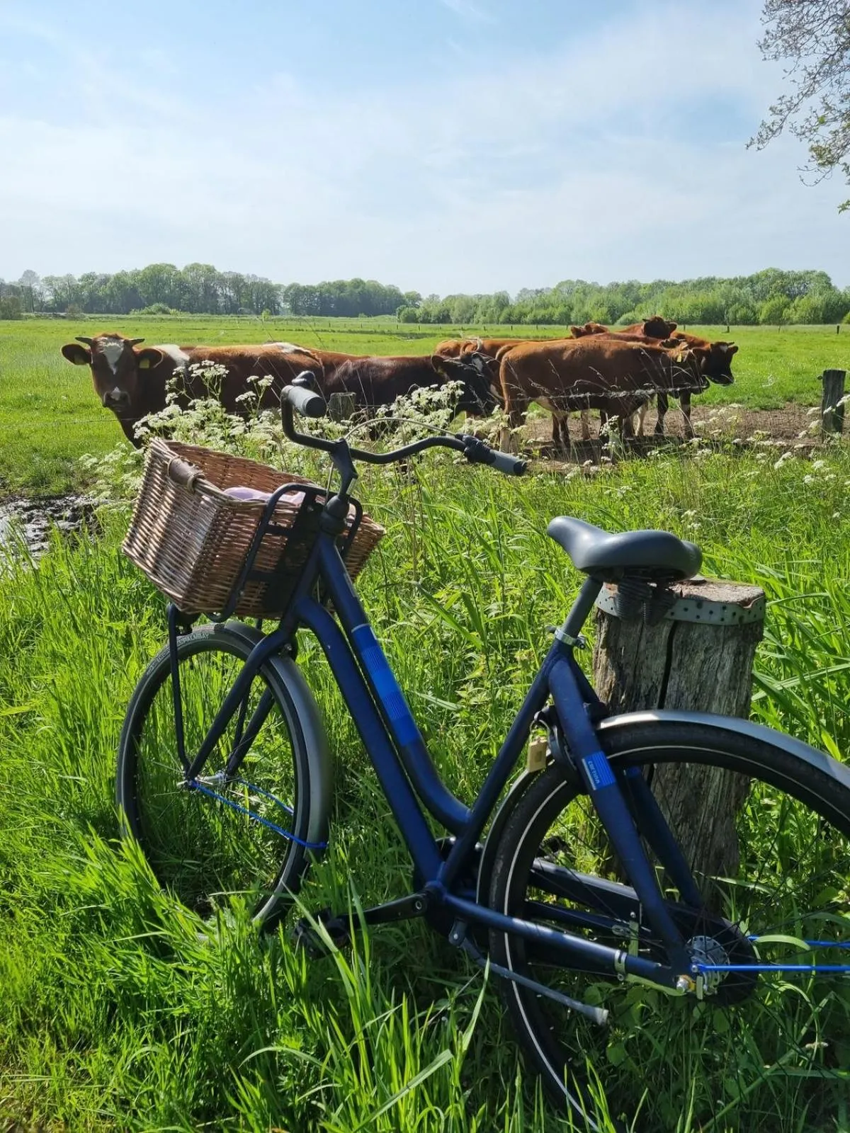 Cycling in Erfgoed Bossem