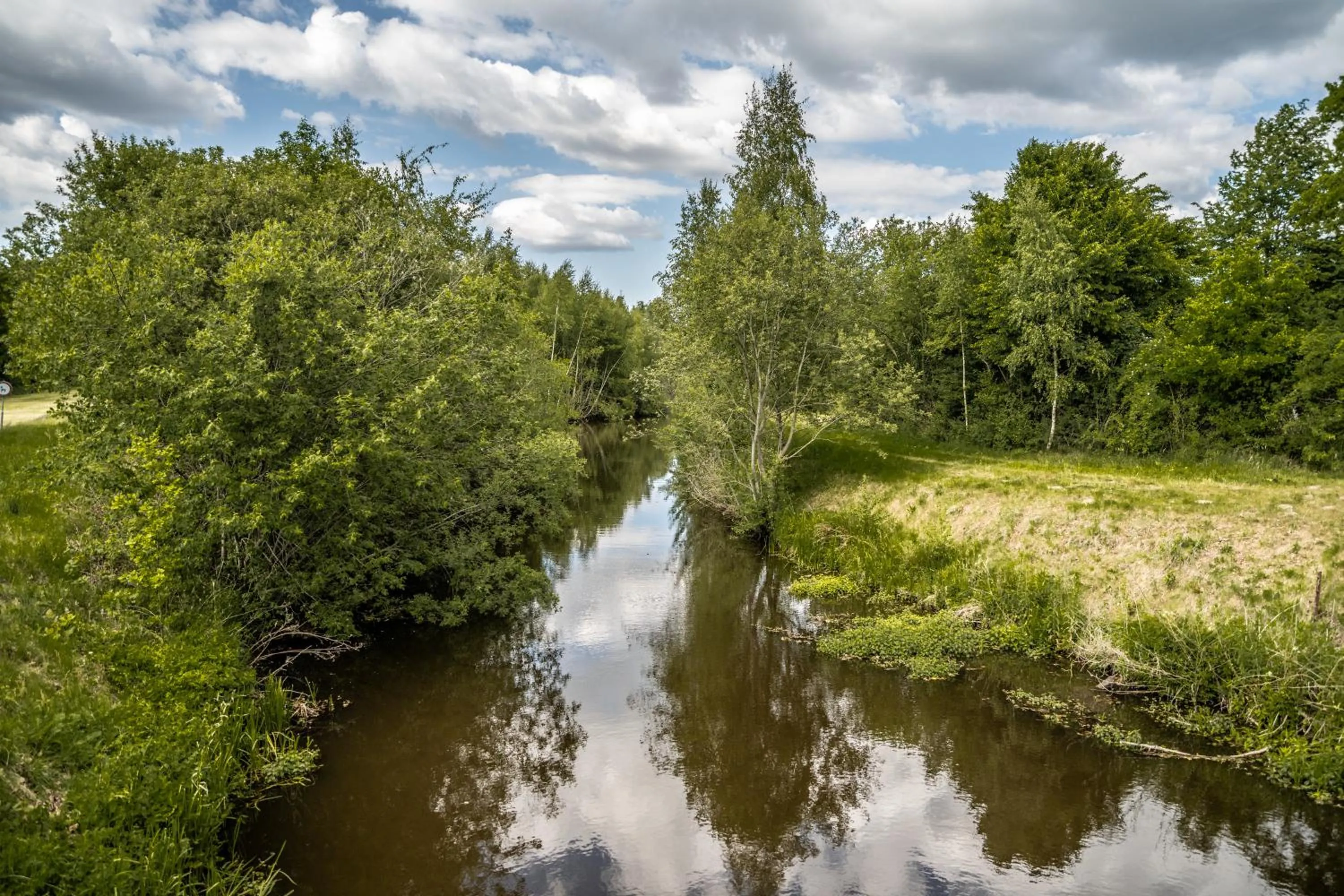 Day in Erfgoed Bossem