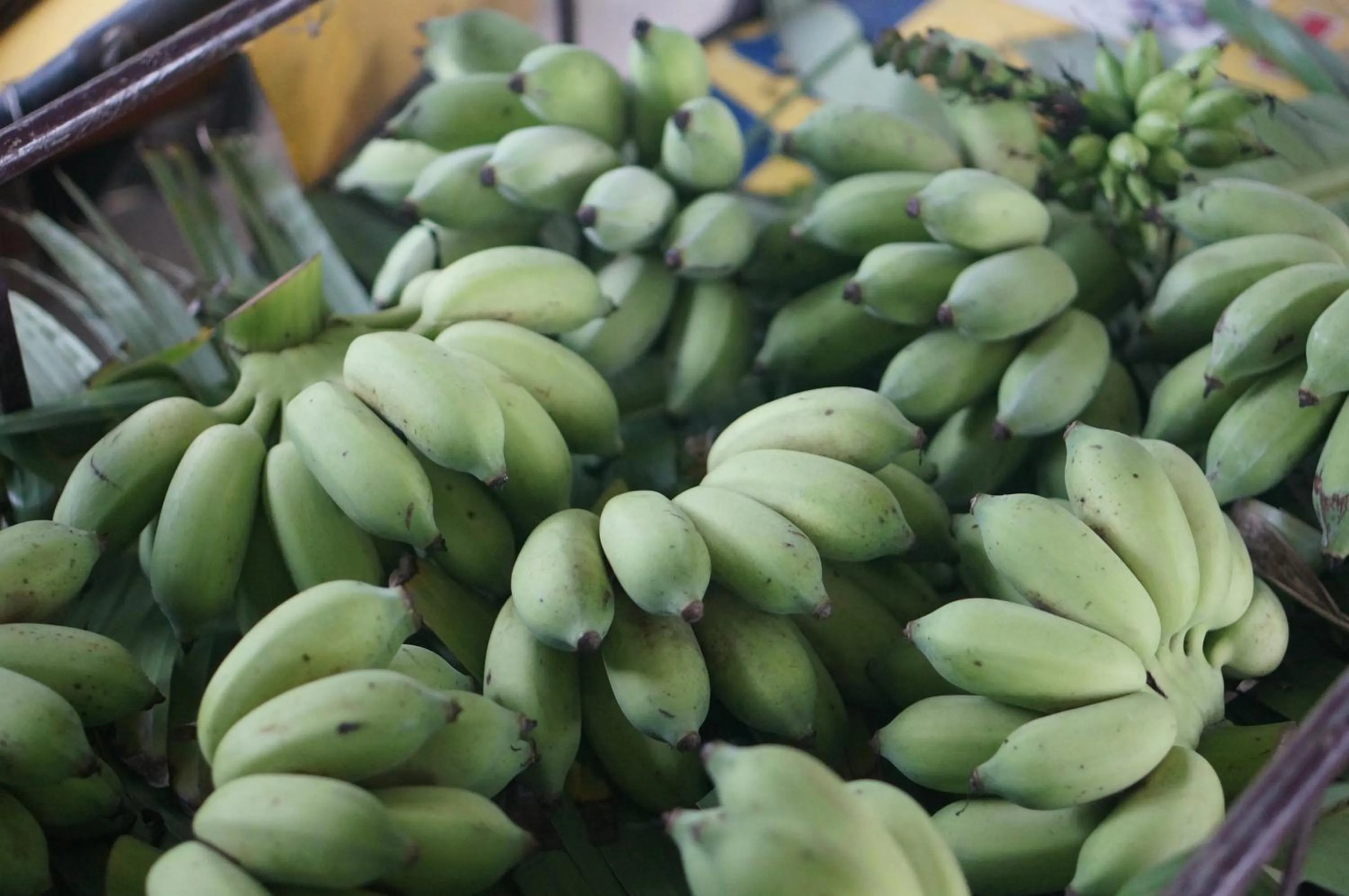 Garden in Thaihome Resort