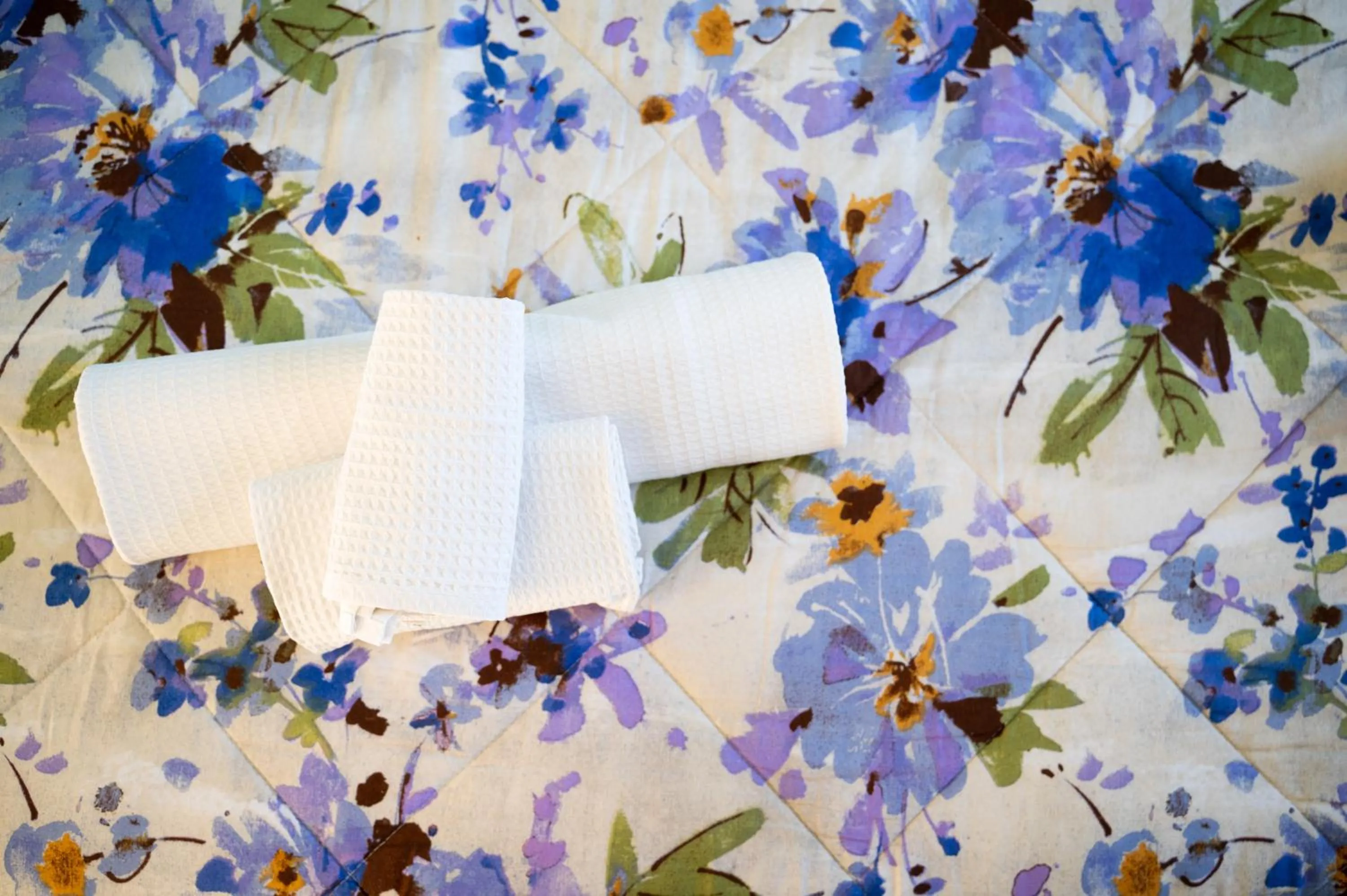 Agriturismo Casa Scola