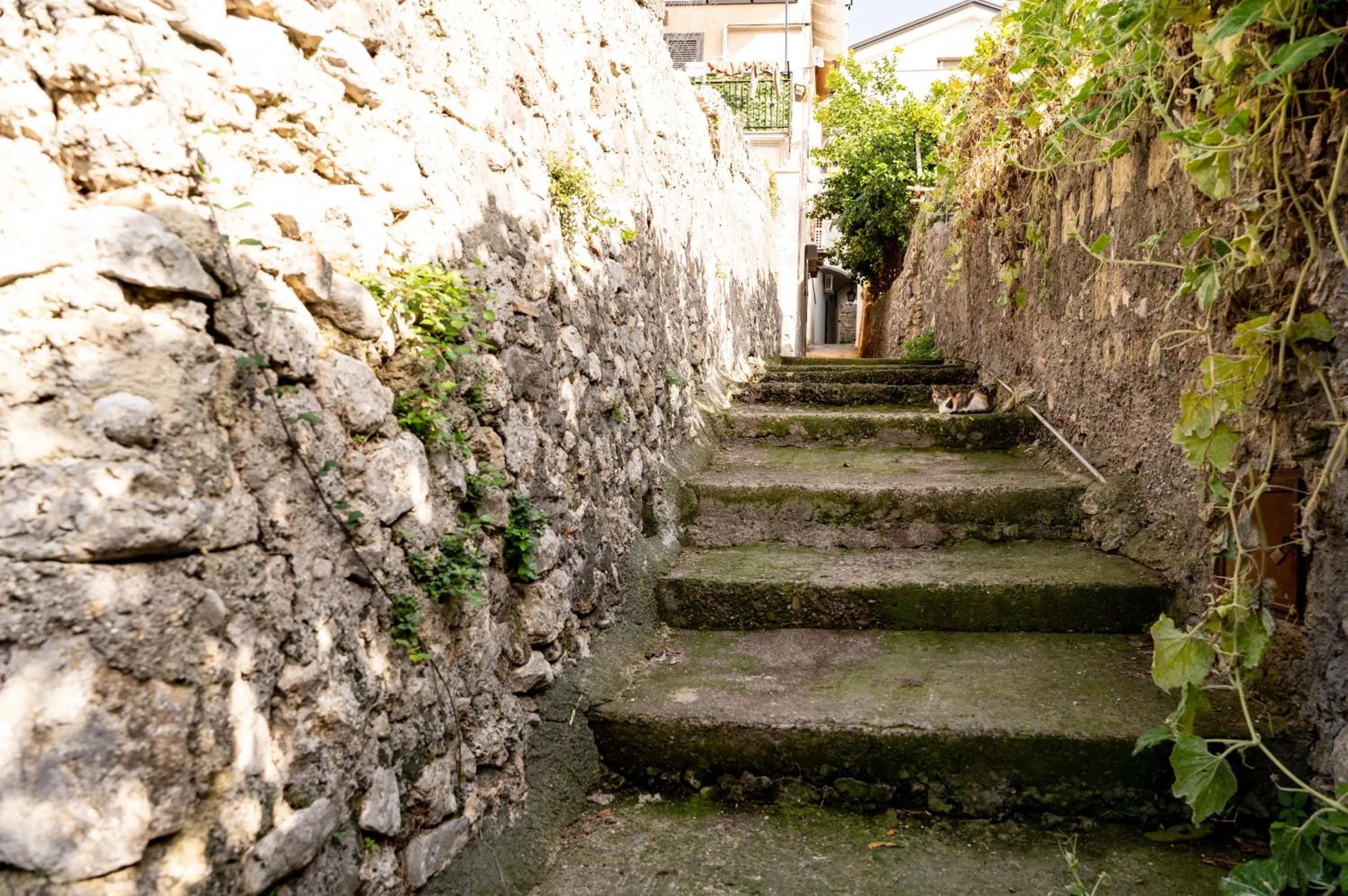 acessibility in Agriturismo Casa Scola