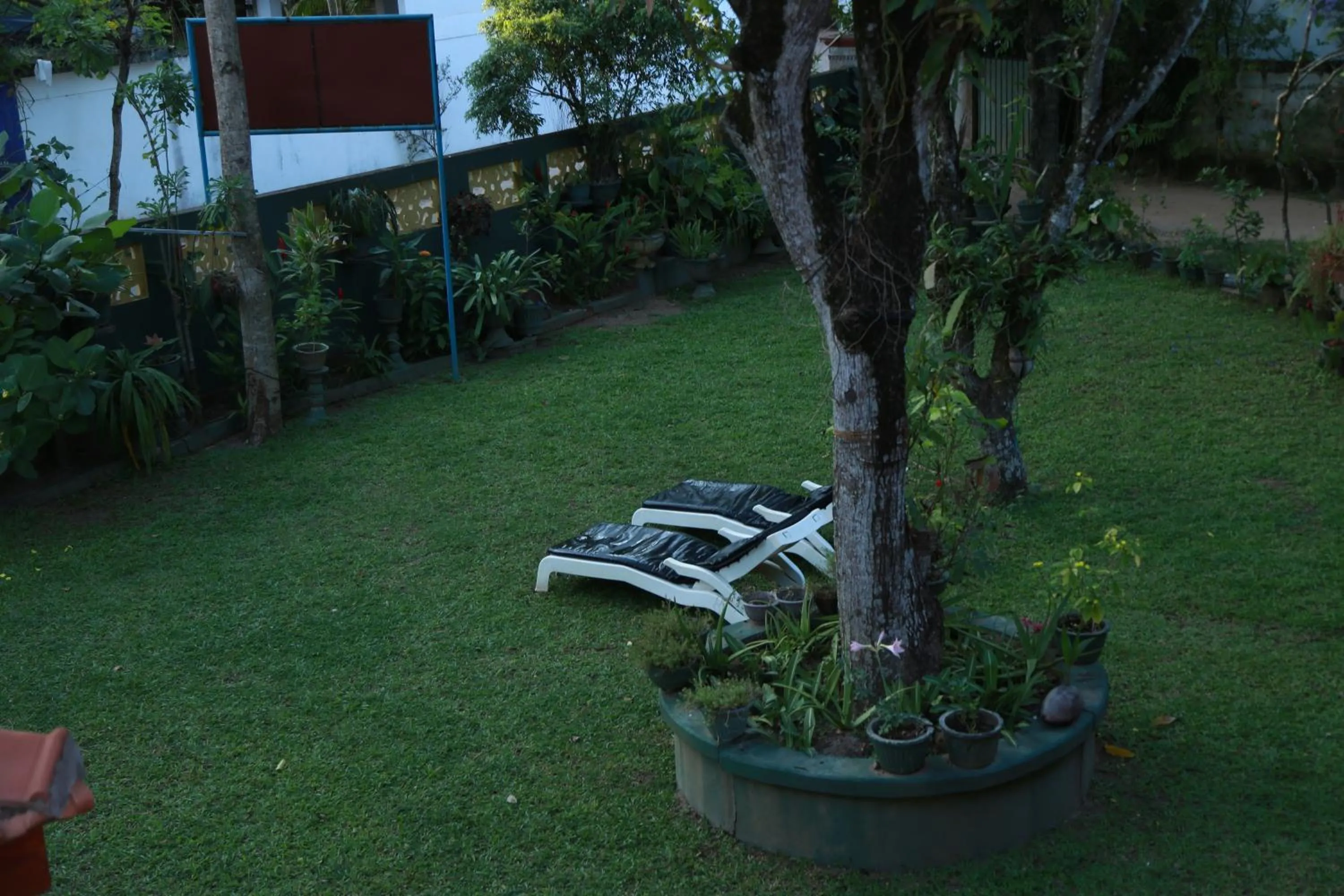 Garden view in Sumal Villa