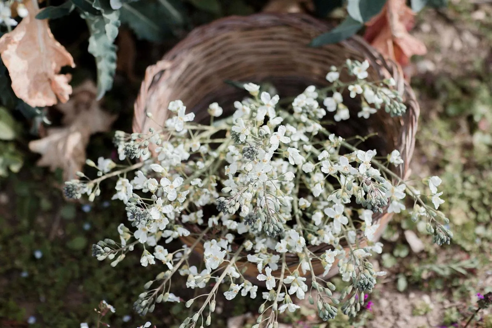 Restaurant/places to eat in Masseria Prosperi