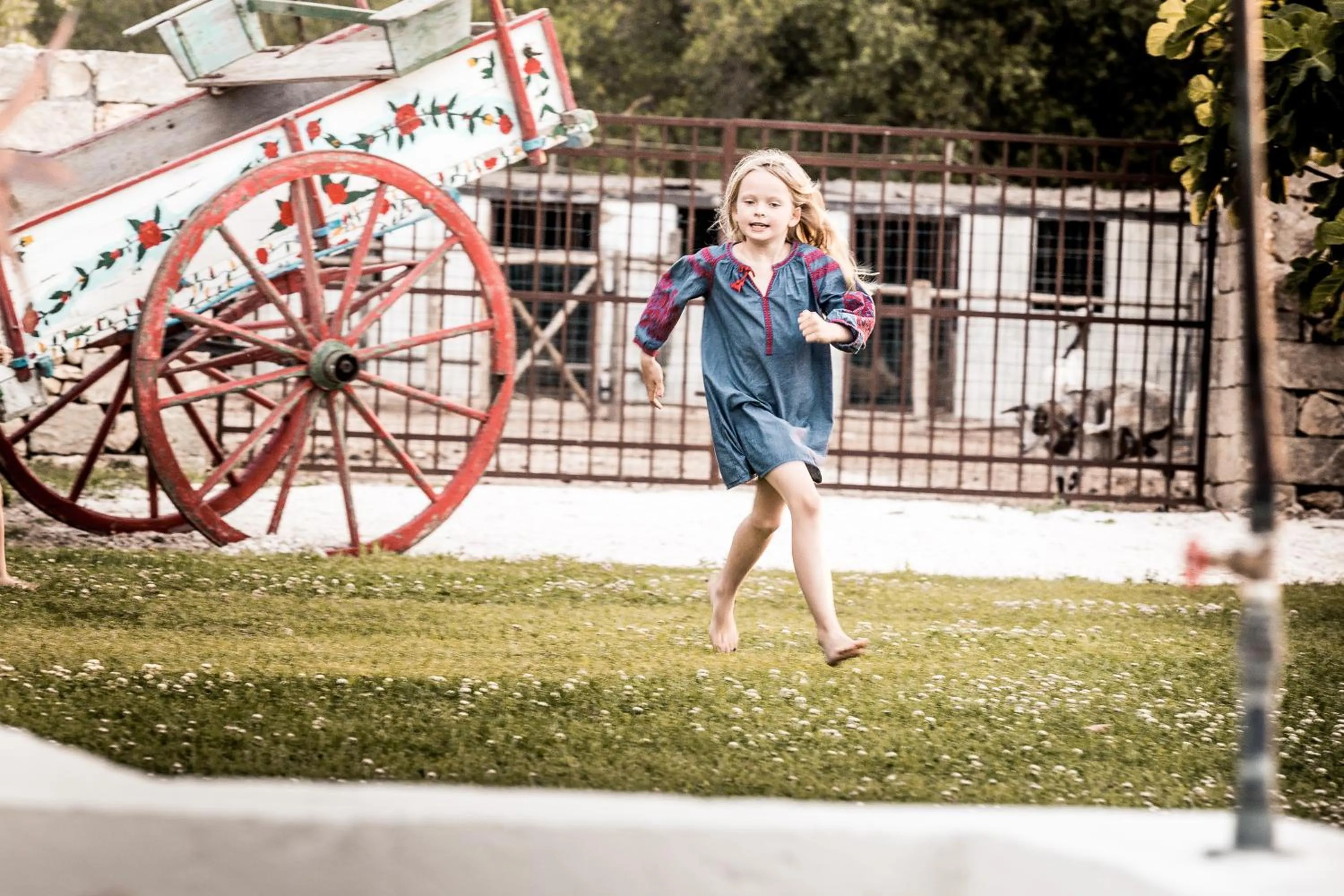 Activities in Masseria Prosperi