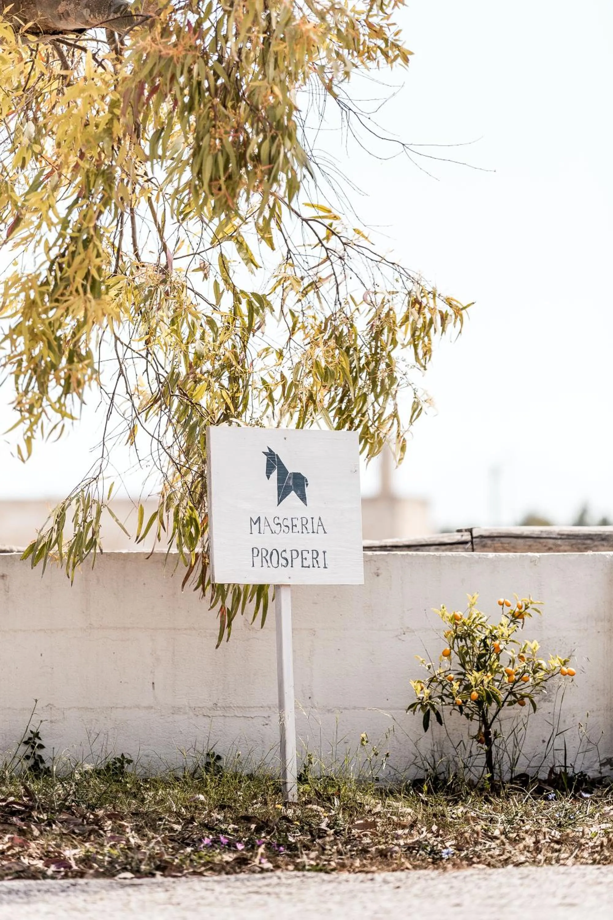 Decorative detail in Masseria Prosperi