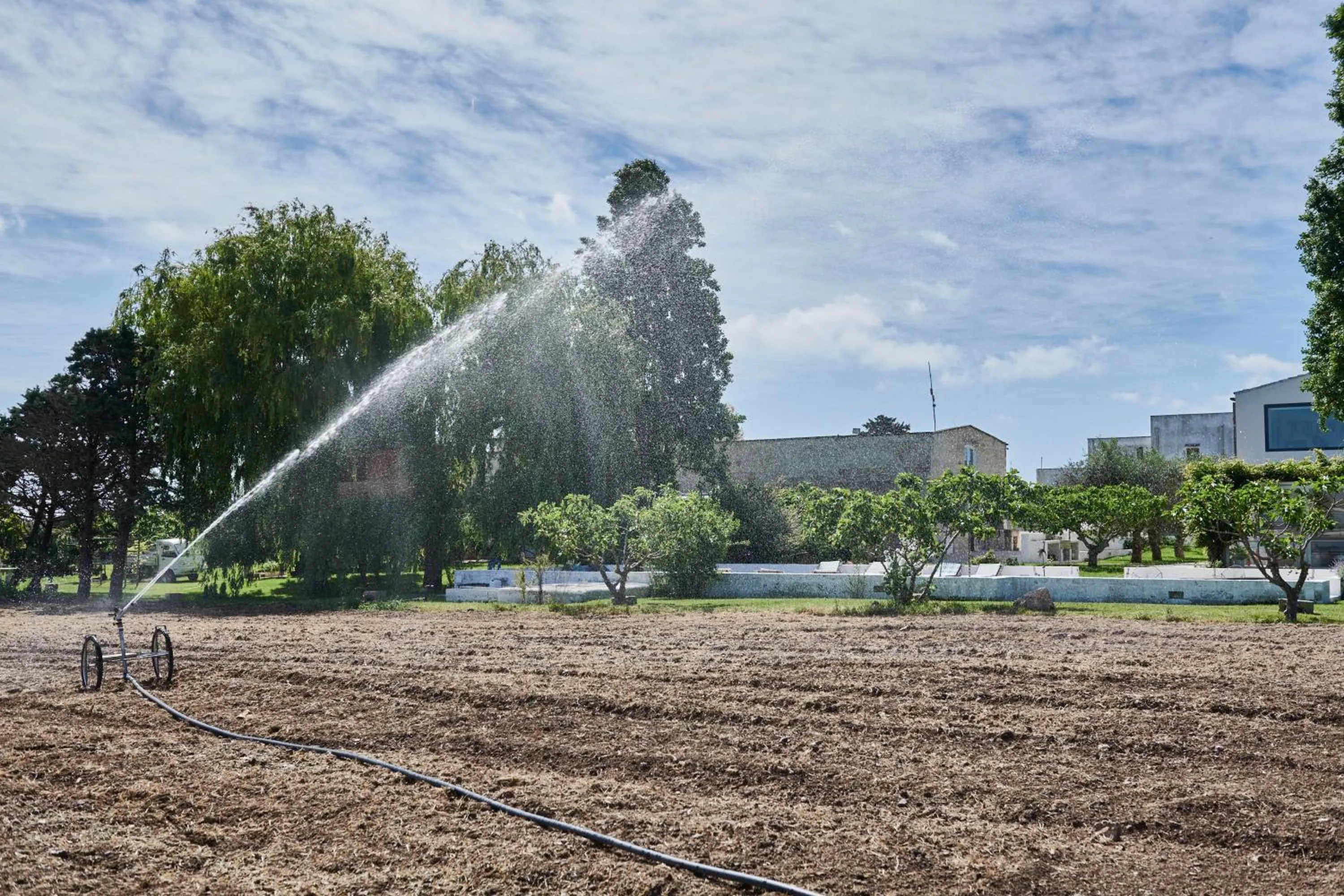 Property building in Masseria Prosperi