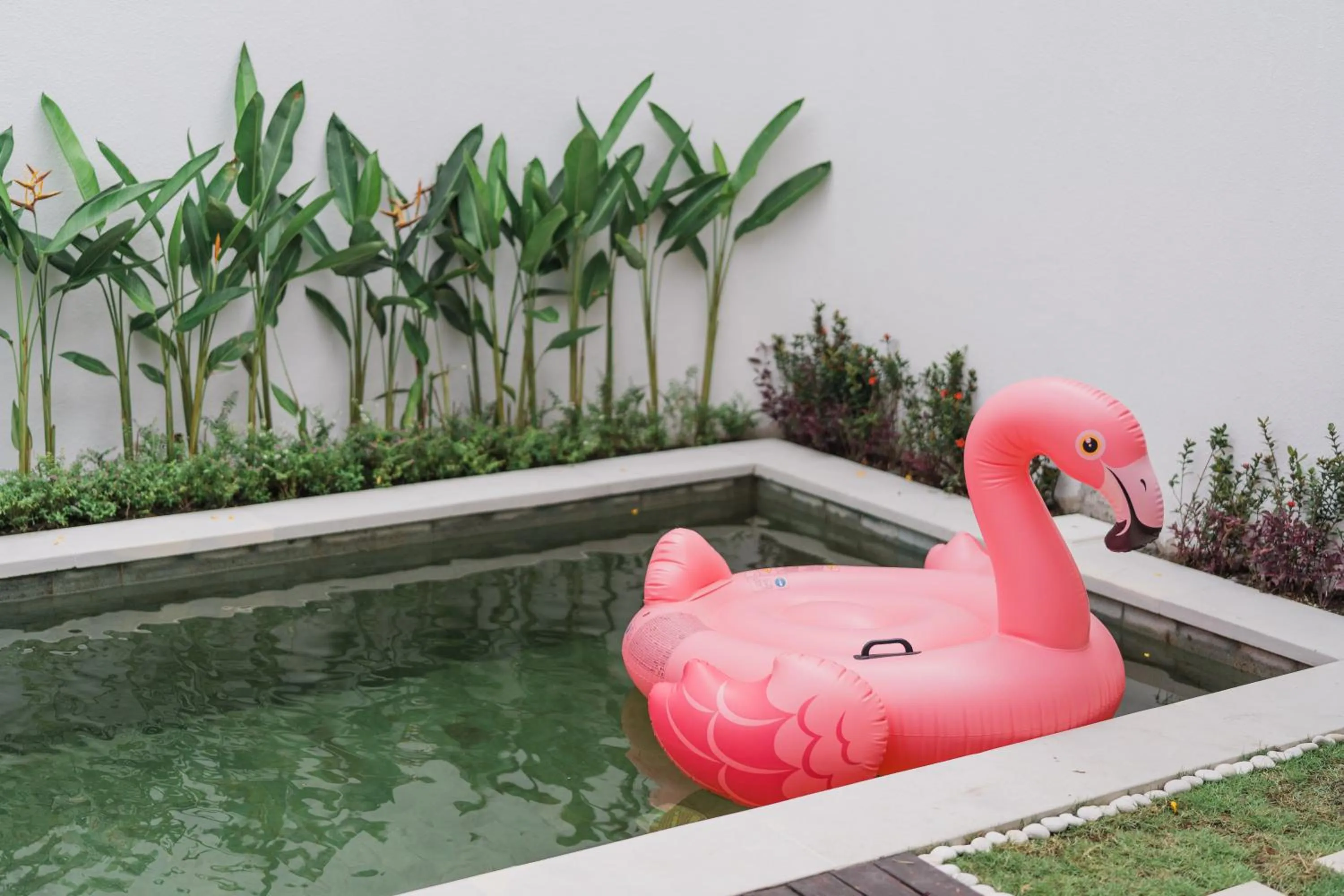 Swimming pool in Villa Noni Kerobokan - By Bali Lyfe Venture