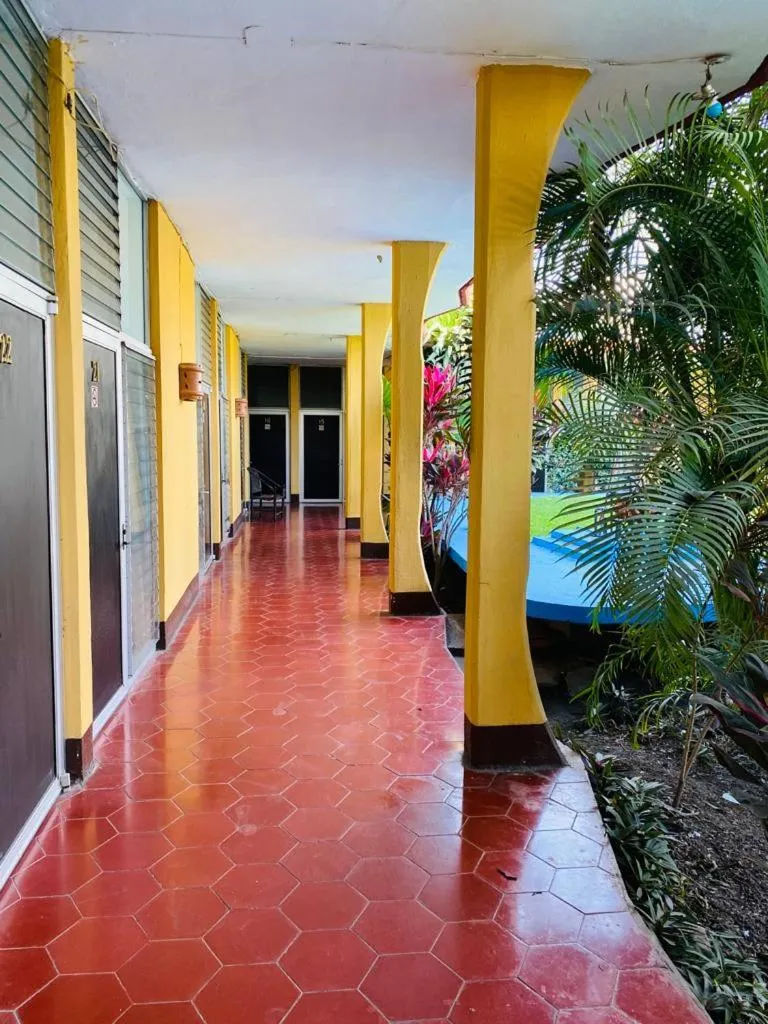 Garden in Hotel Del Valle