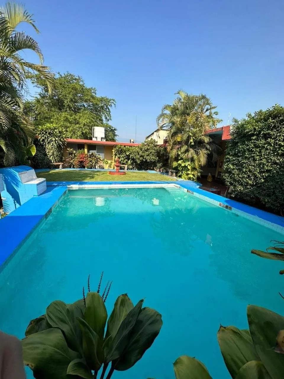 Garden in Hotel Del Valle